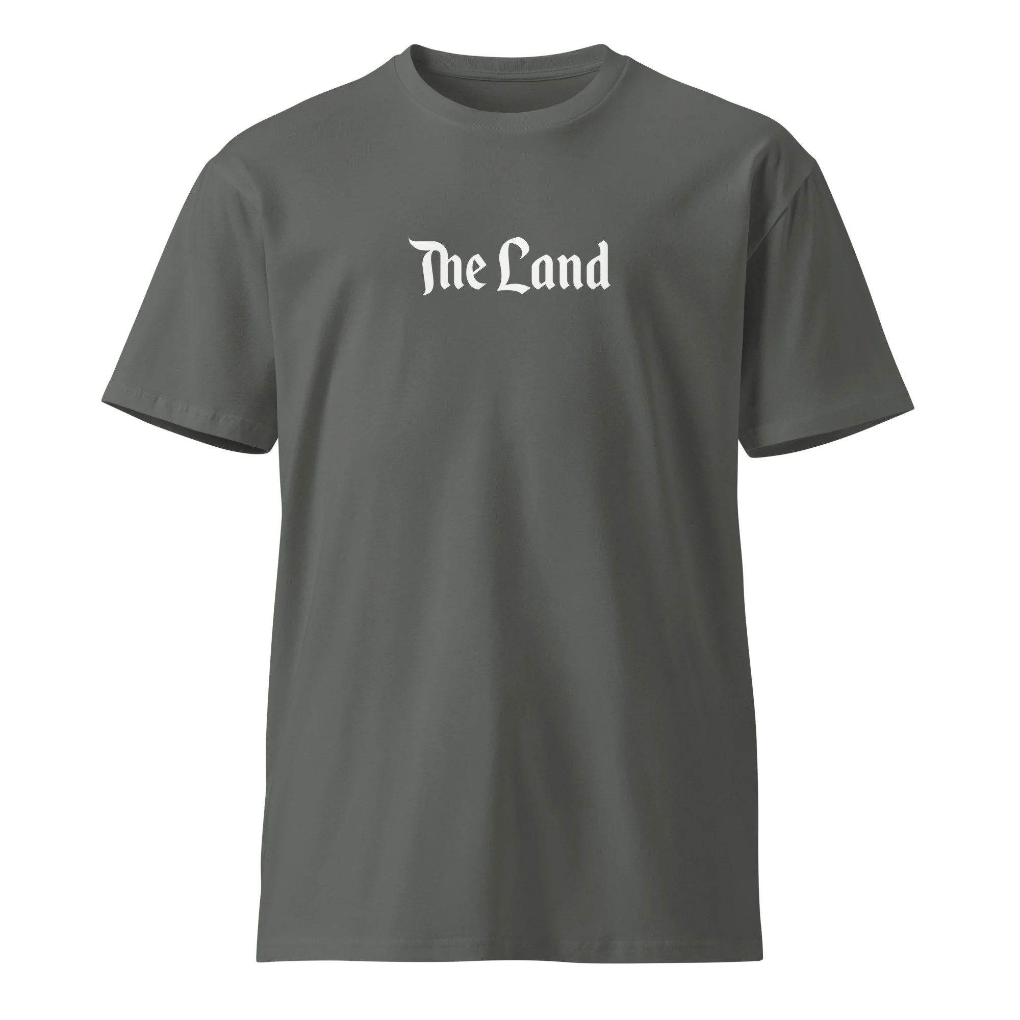 unisex-premium-t-shirt-charcoal-front-662bb8c08cd6a.jpg