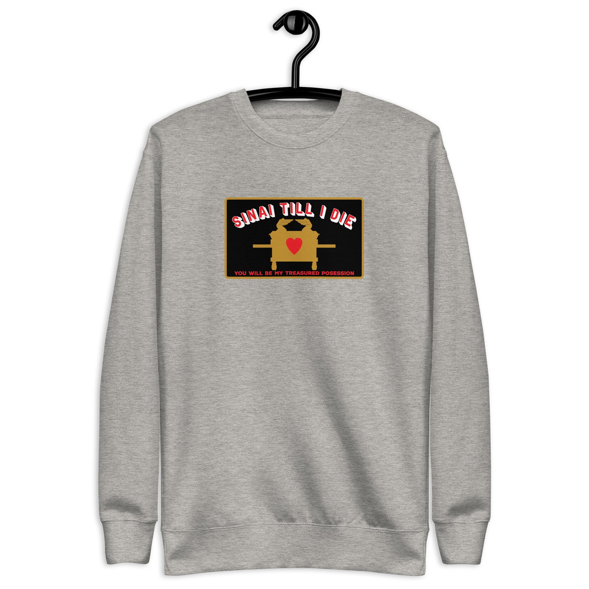unisex-premium-sweatshirt-carbon-grey-front-66780cfdef2e9.jpg
