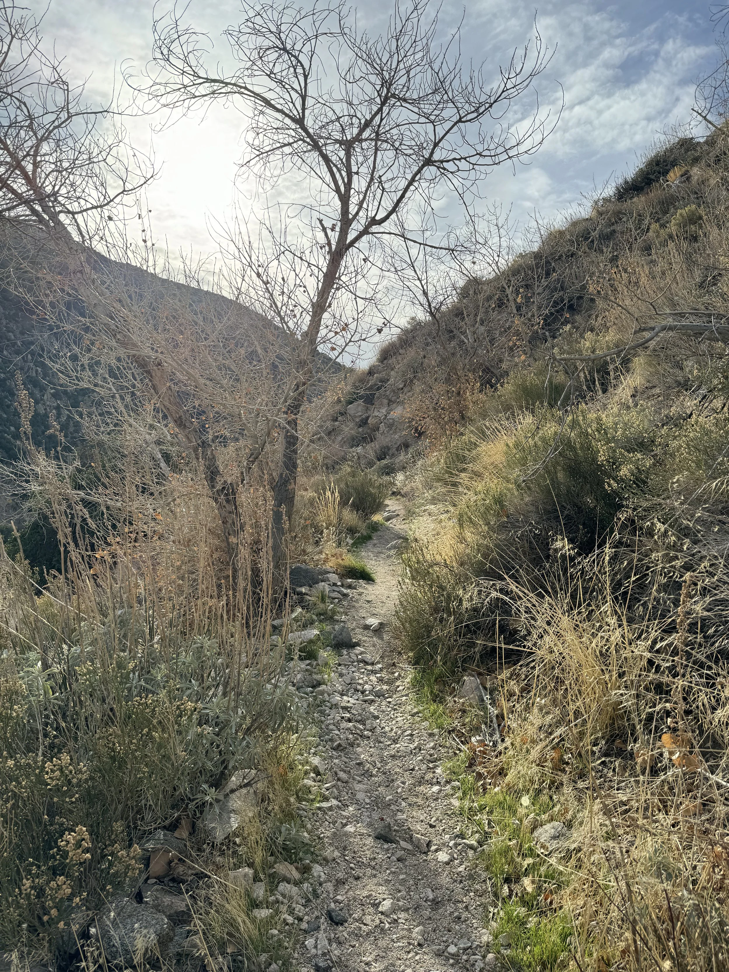 deep creek 3.jpg