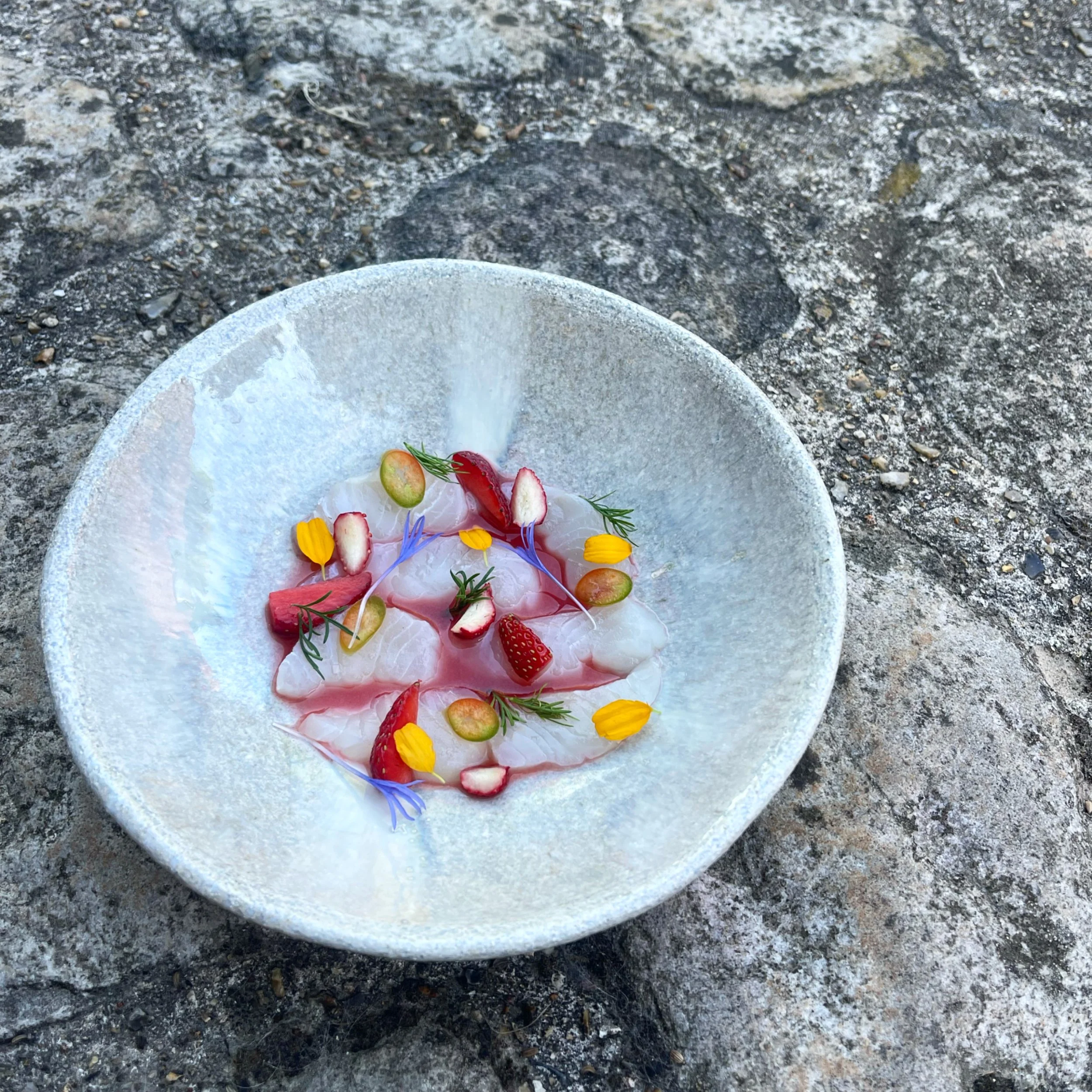 FF7BD1BB-486A-4140-8BFD-48F6EA6B0B1F 2.JPG