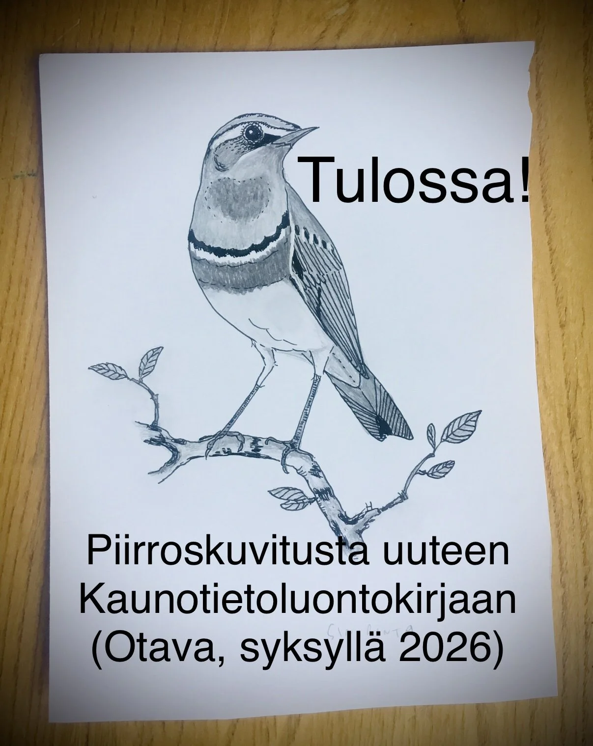 Tulossa:  Kaunotietoluontokirja x!