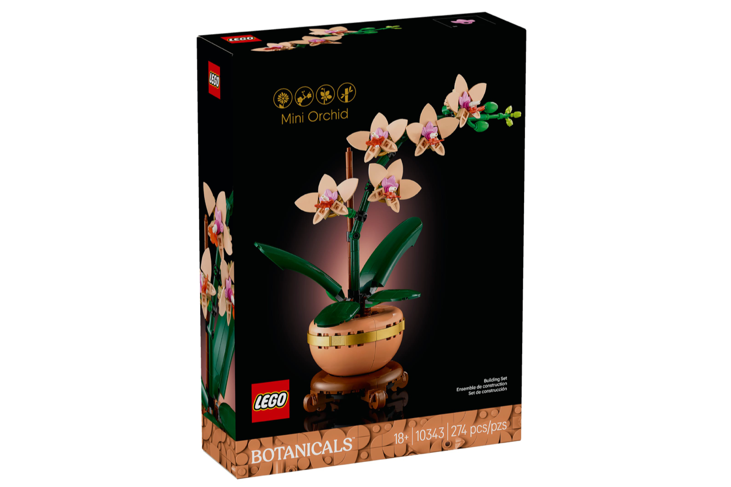 Mini Orchid / 10343 - NEW