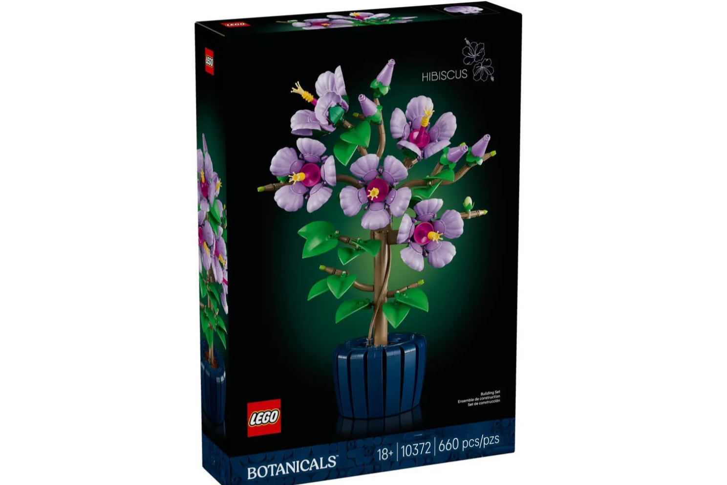 Hibiscus / 10372 - NEW