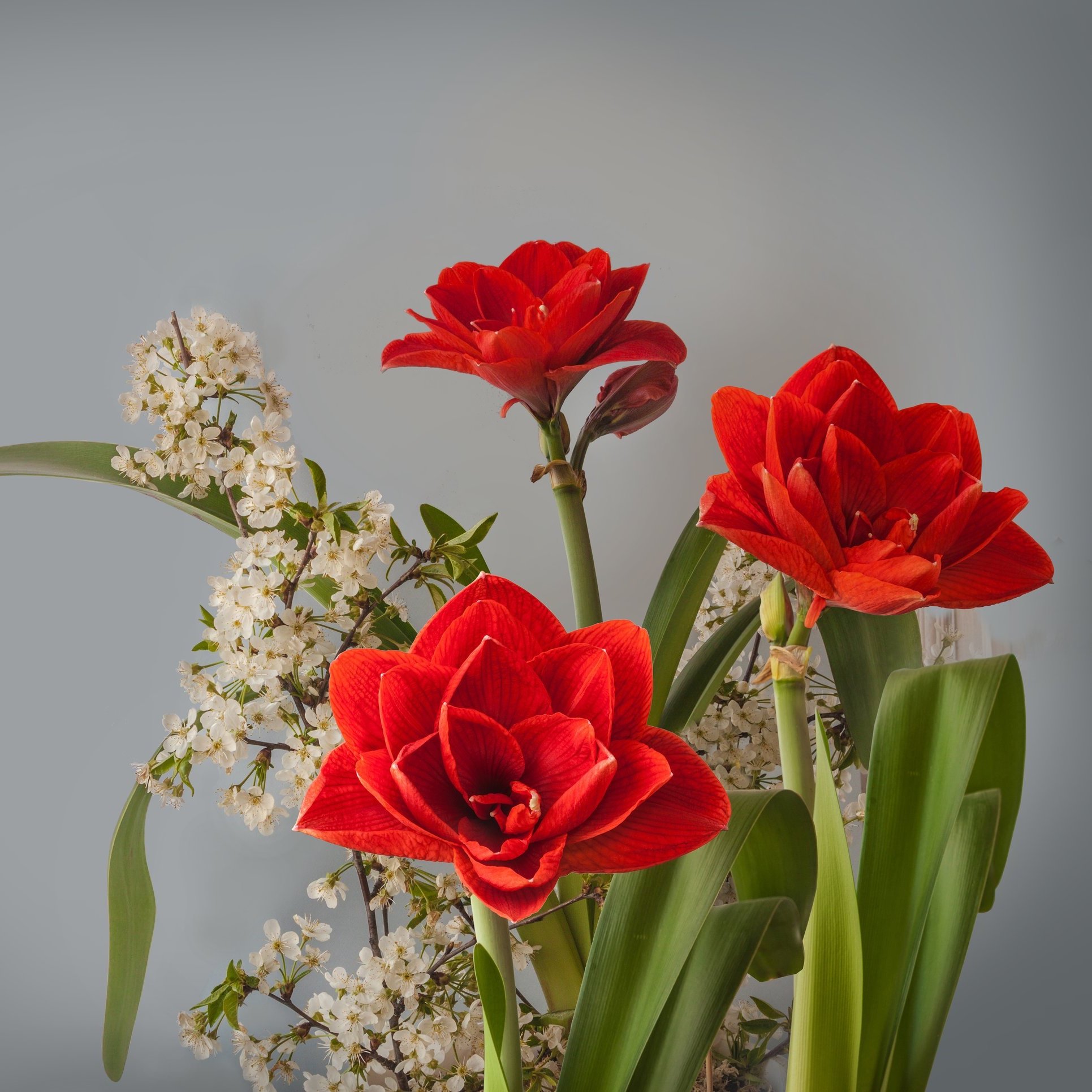 AdobeStock_392869351.jpg