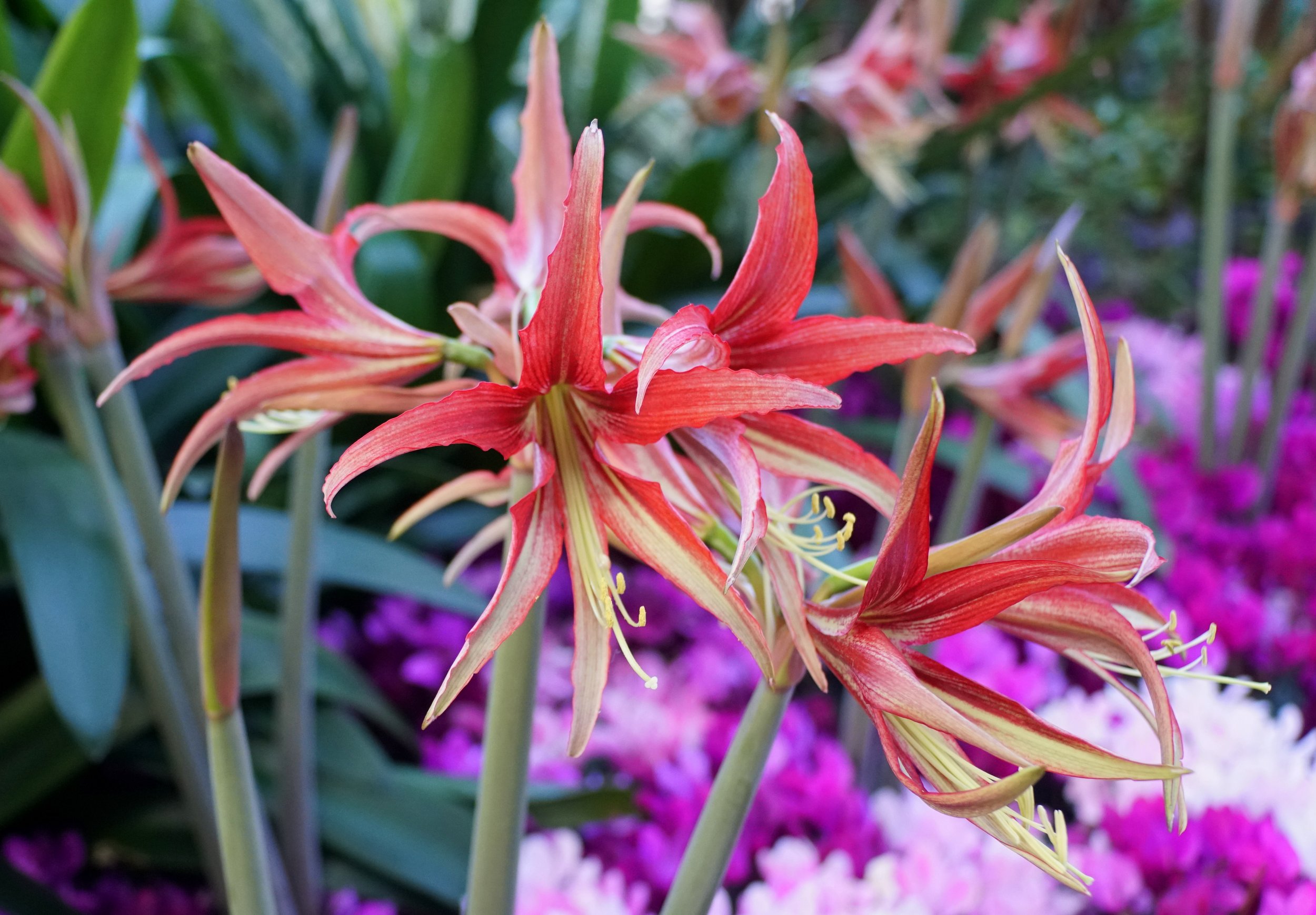 AdobeStock_317147326.jpeg