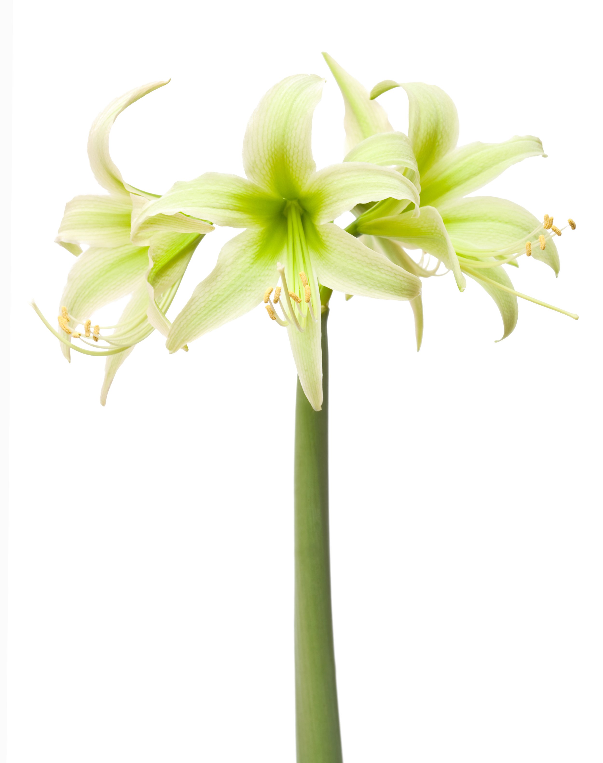 AdobeStock_191322039.jpeg