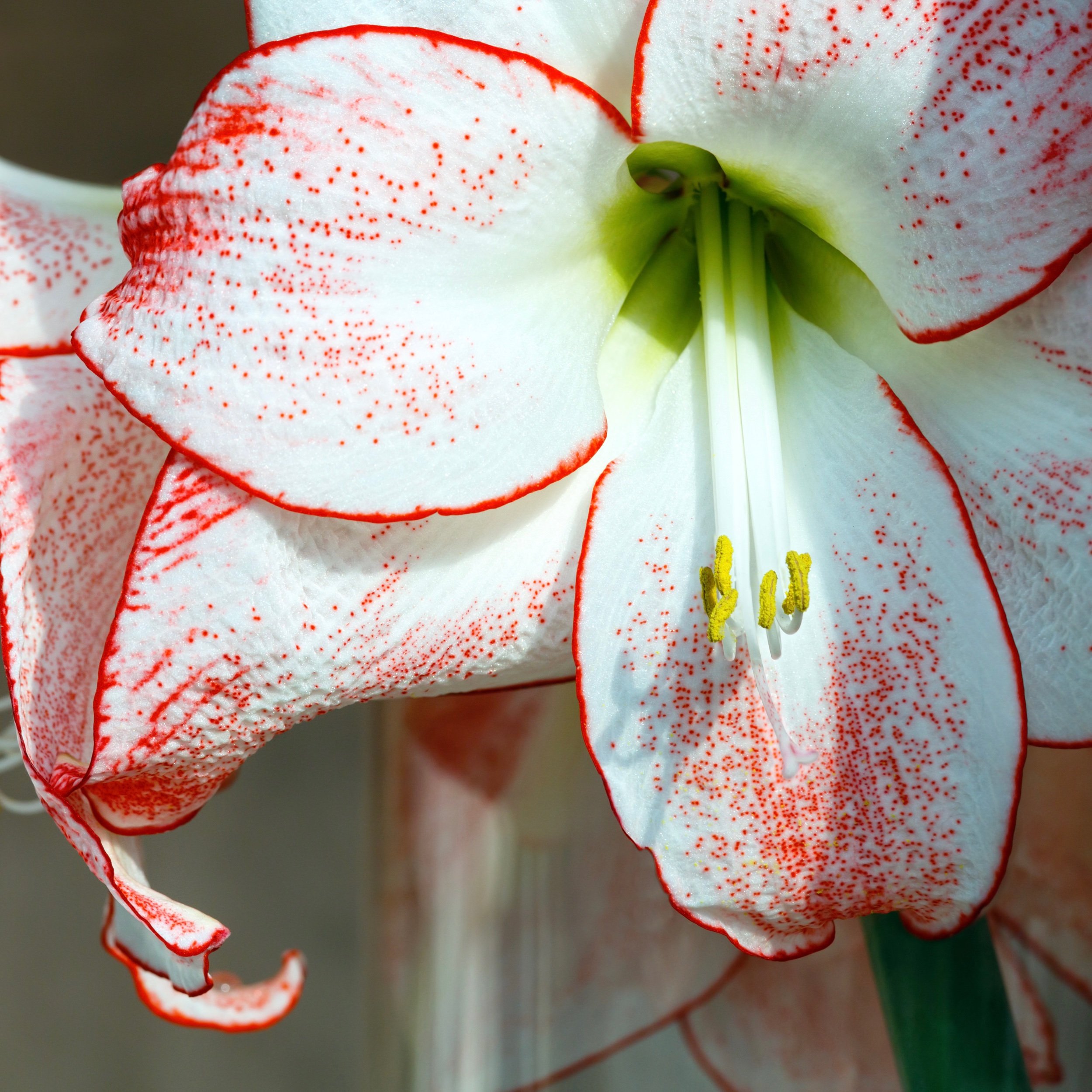032009F8-C94B-44A1-98AD-8DED6C63F34B.jpeg