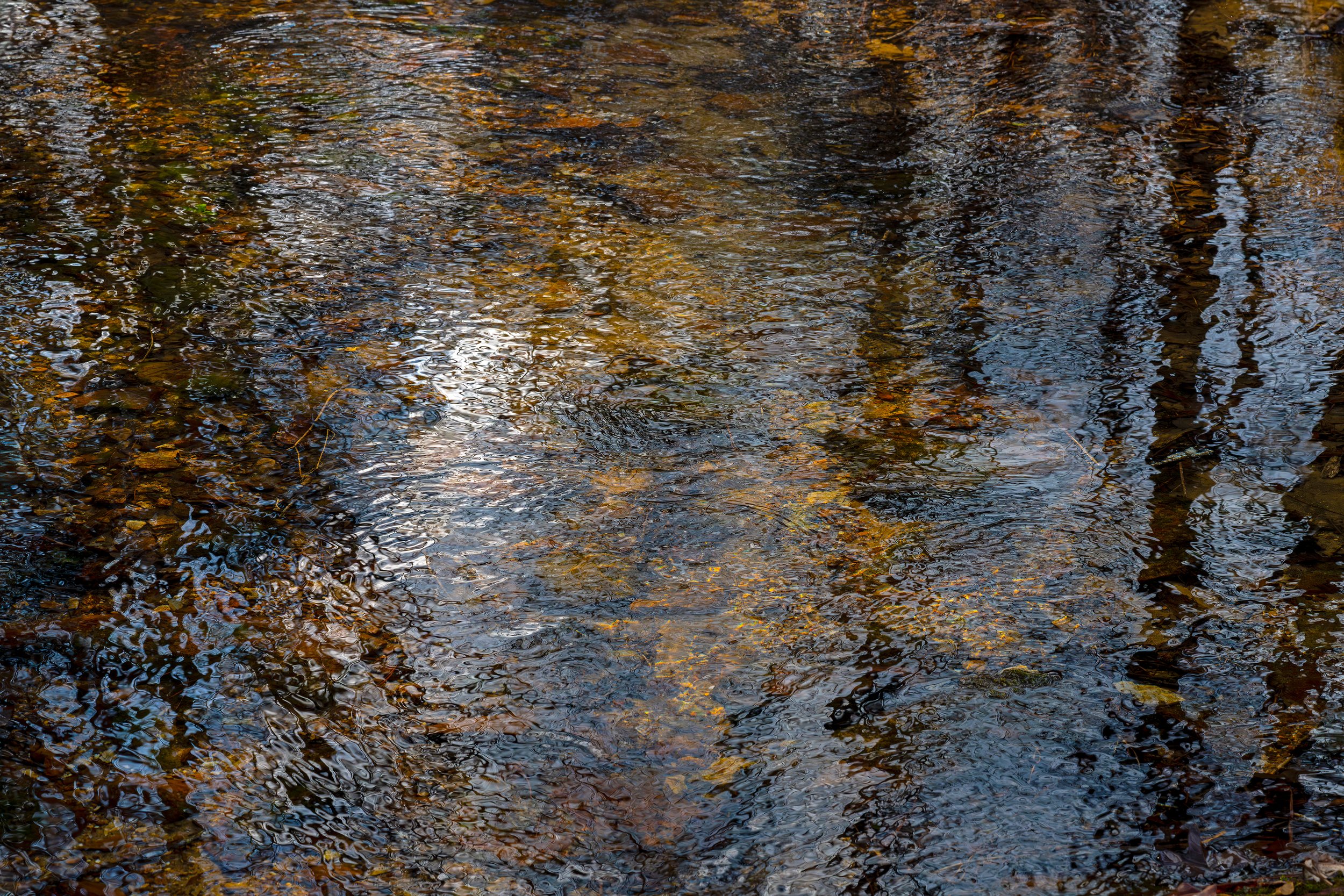 Reflecting Creation