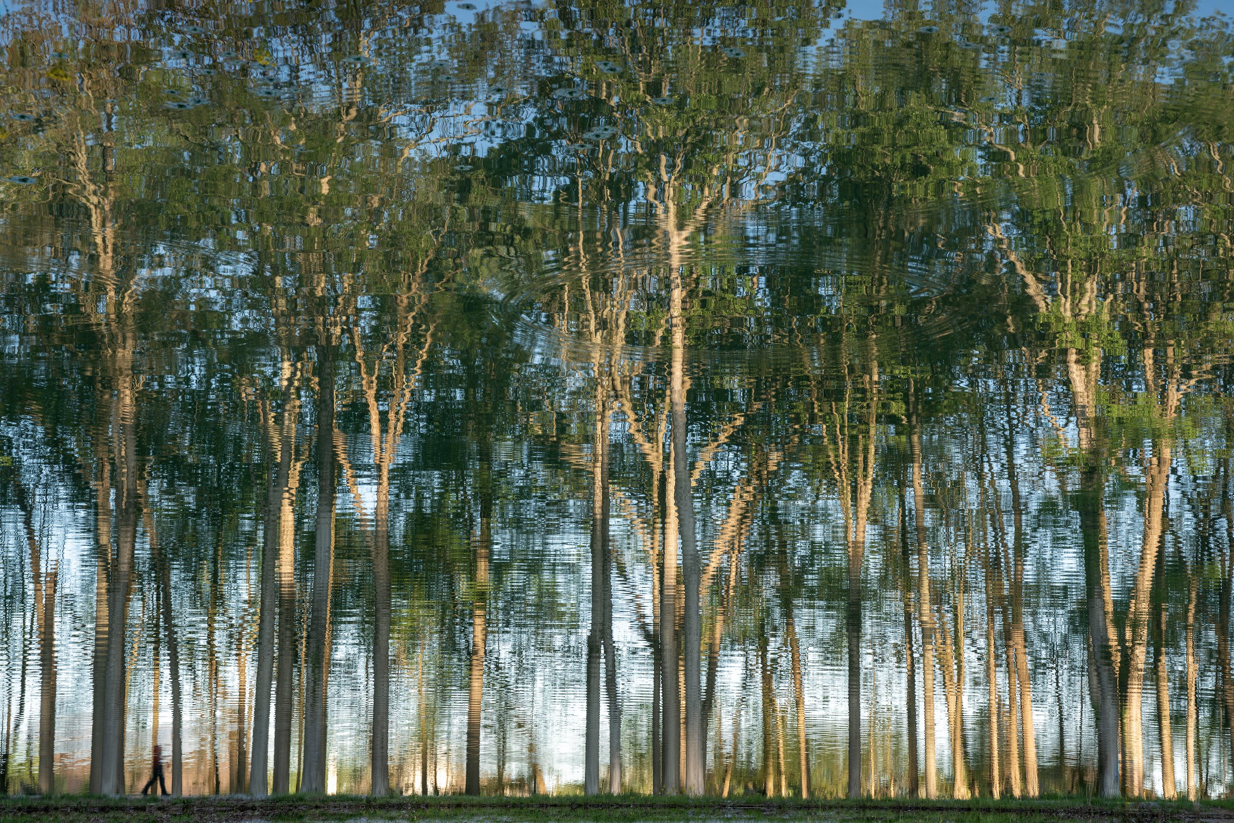 Walk In The Park