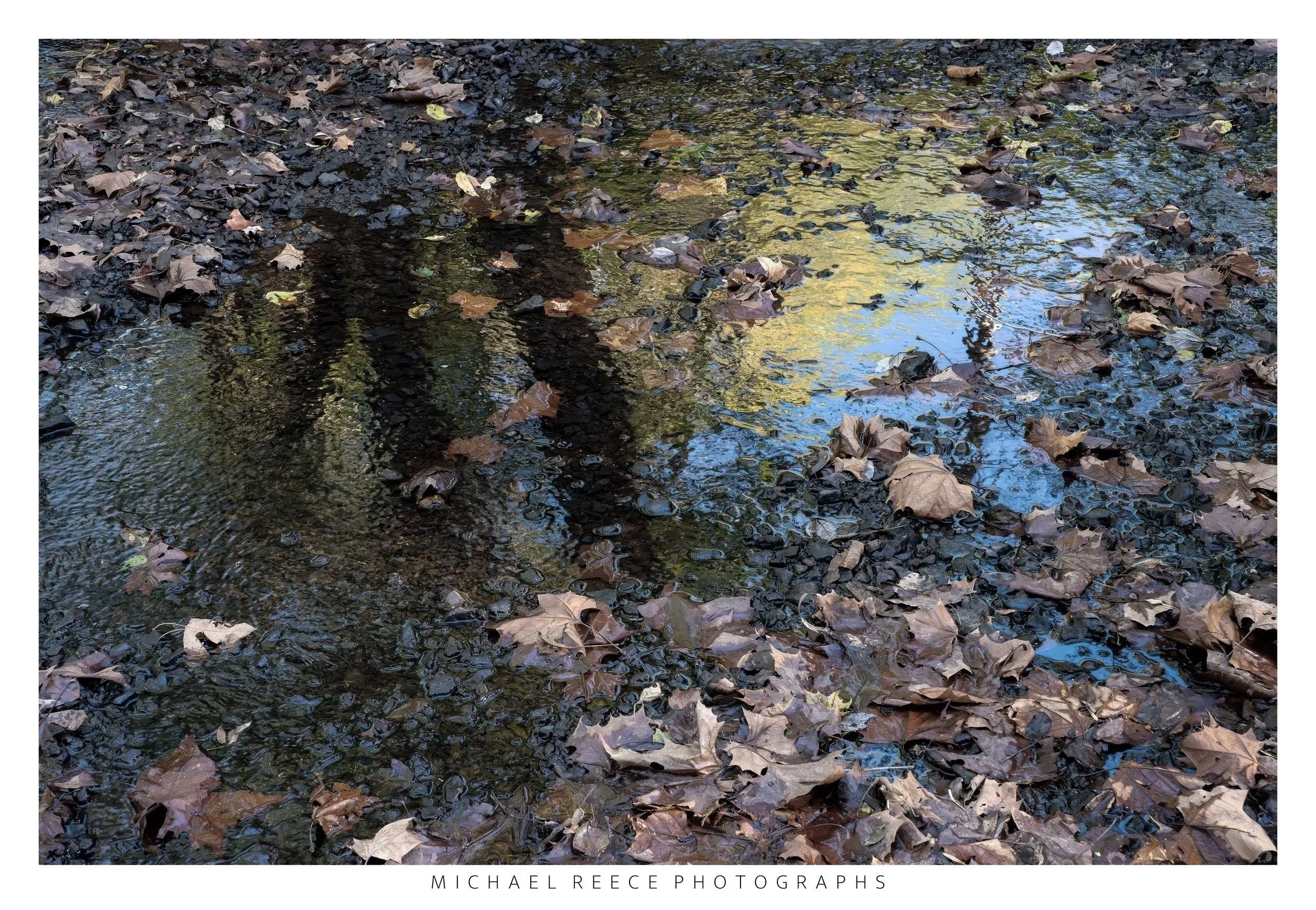 Reminiscense
 Buy Print 