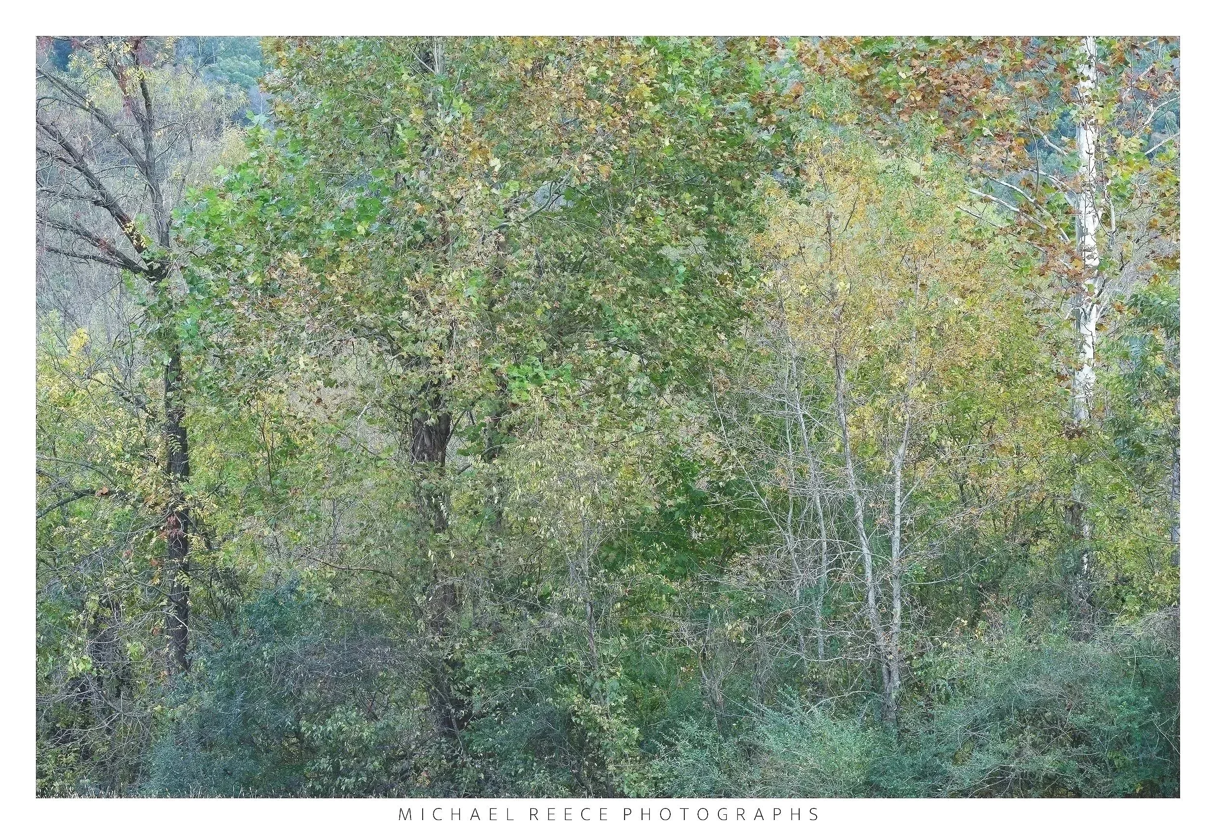 Seeking Clarity
 Buy Print 