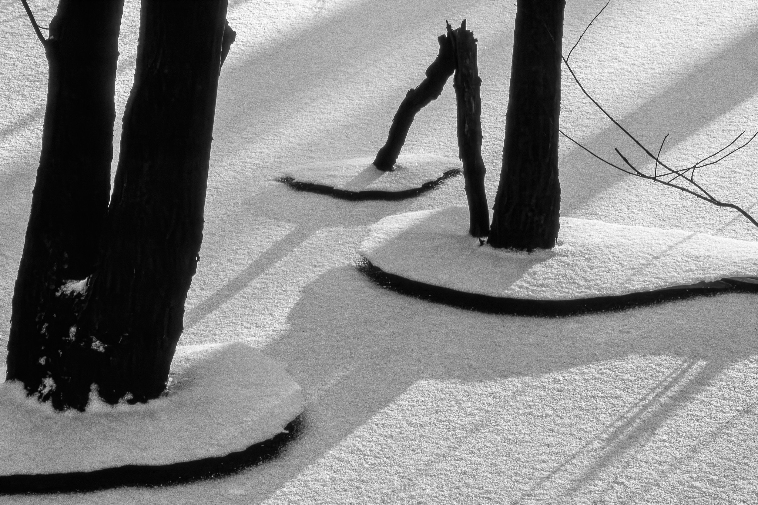 Snow Shadows