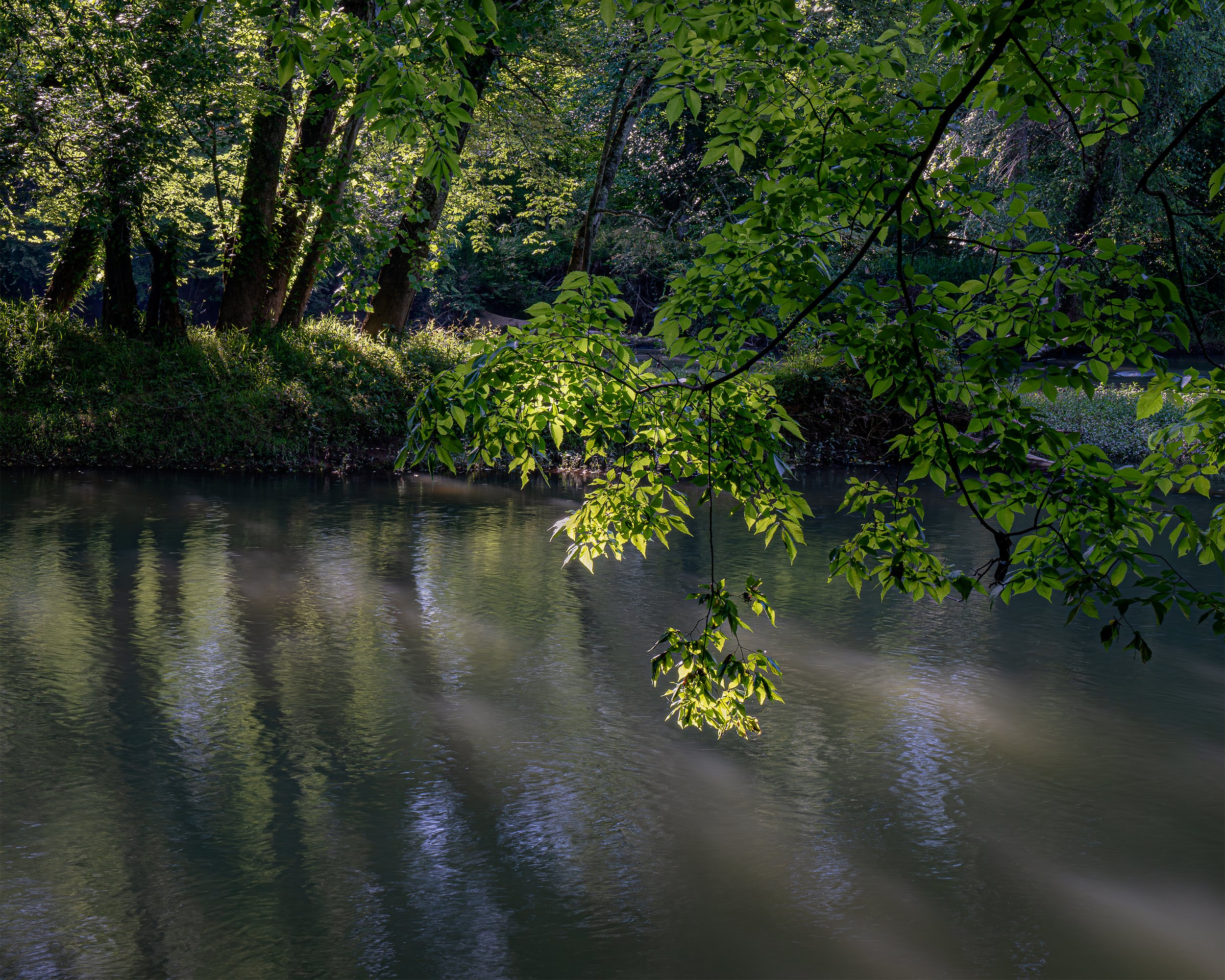 Down to the River