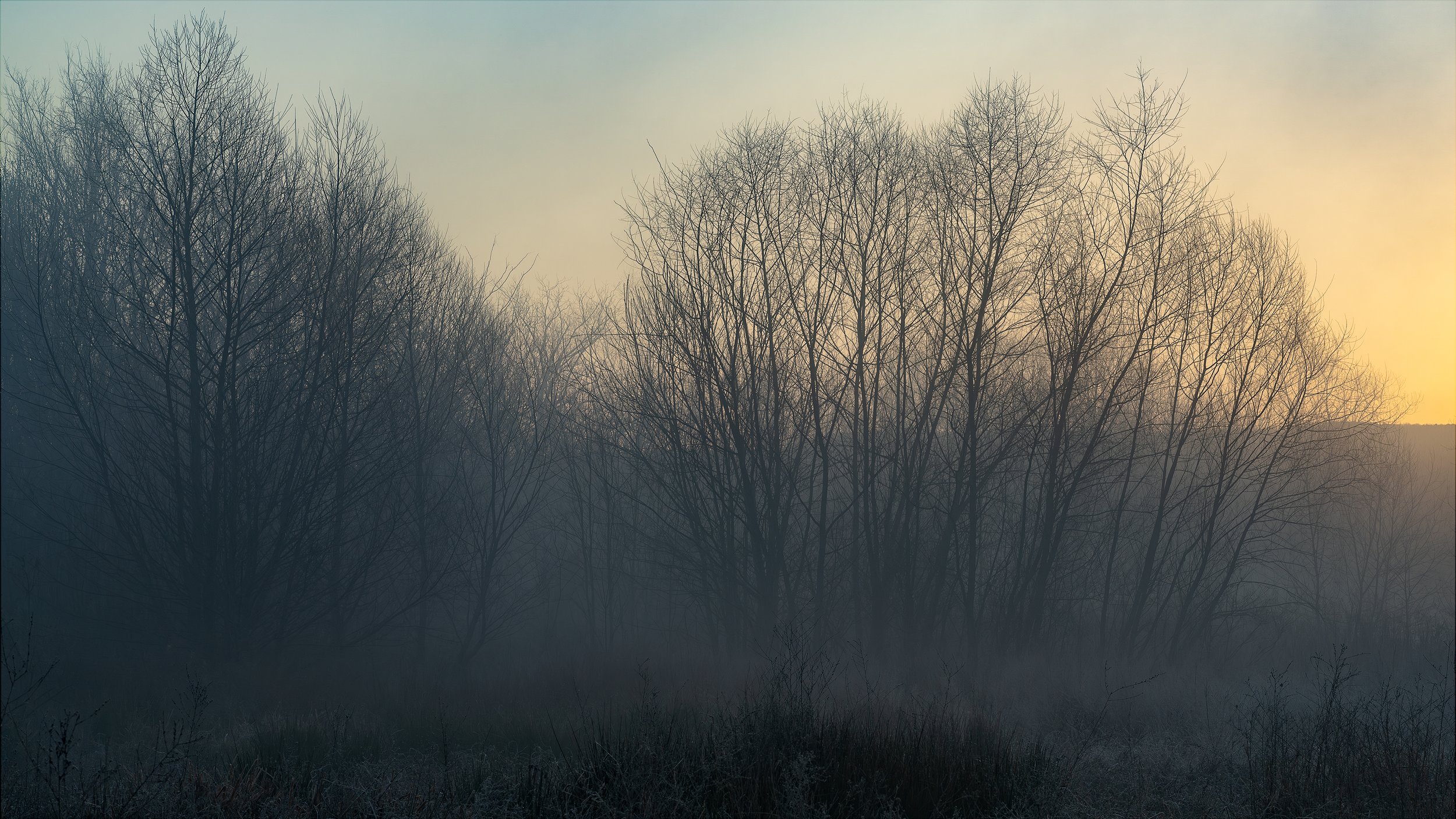 Stillness
