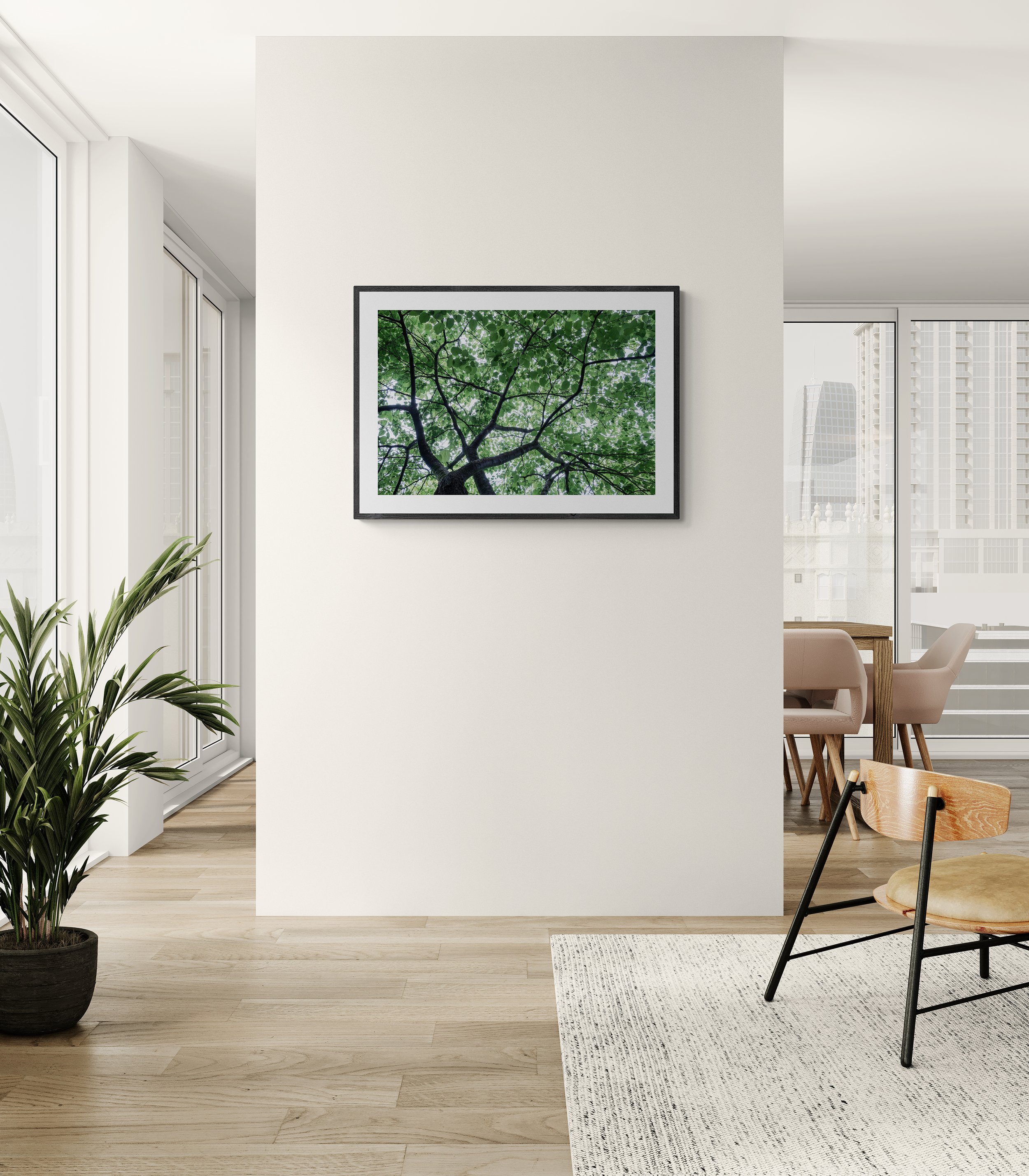 window_frames_1.jpg