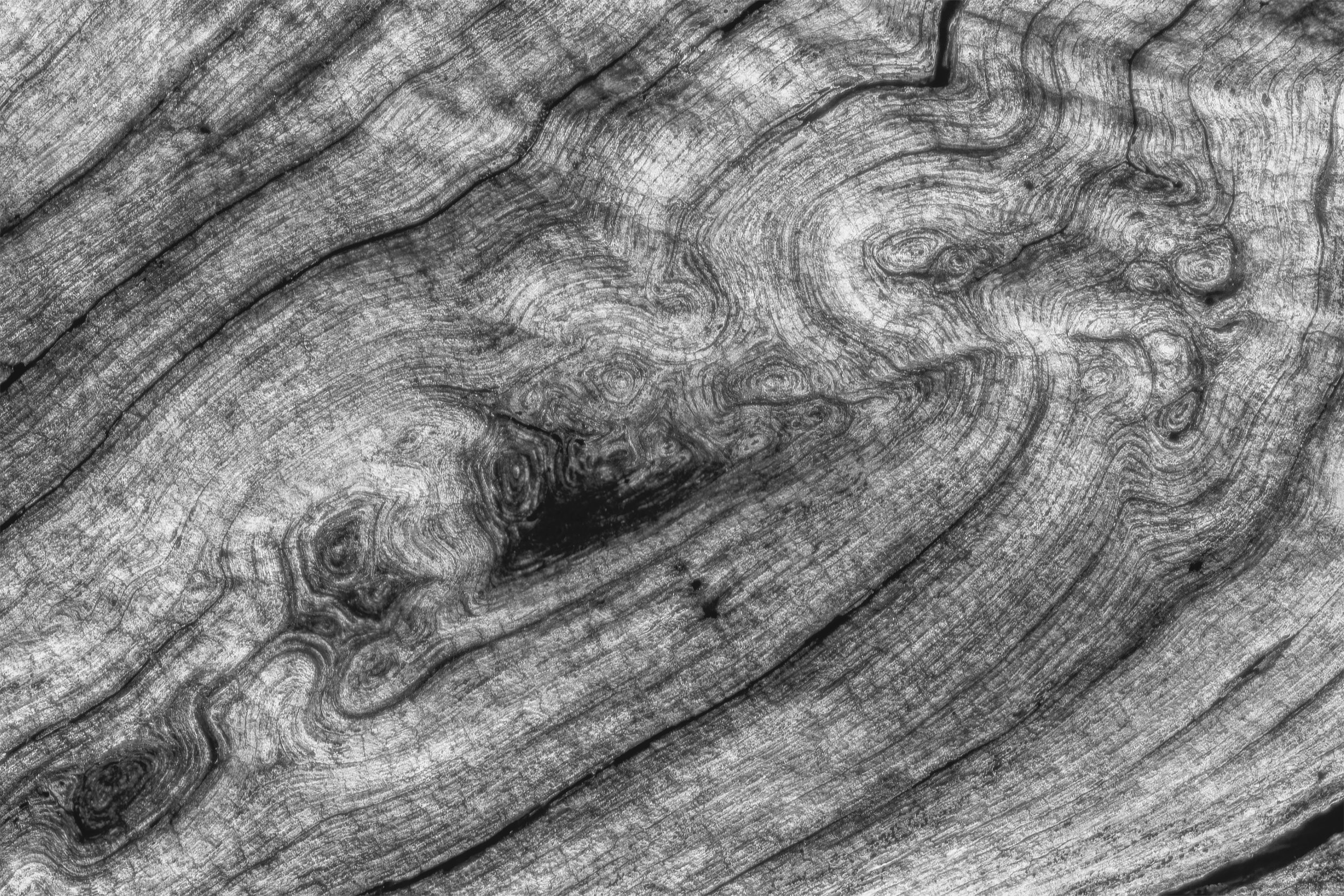 Atmosphere (Black and White)