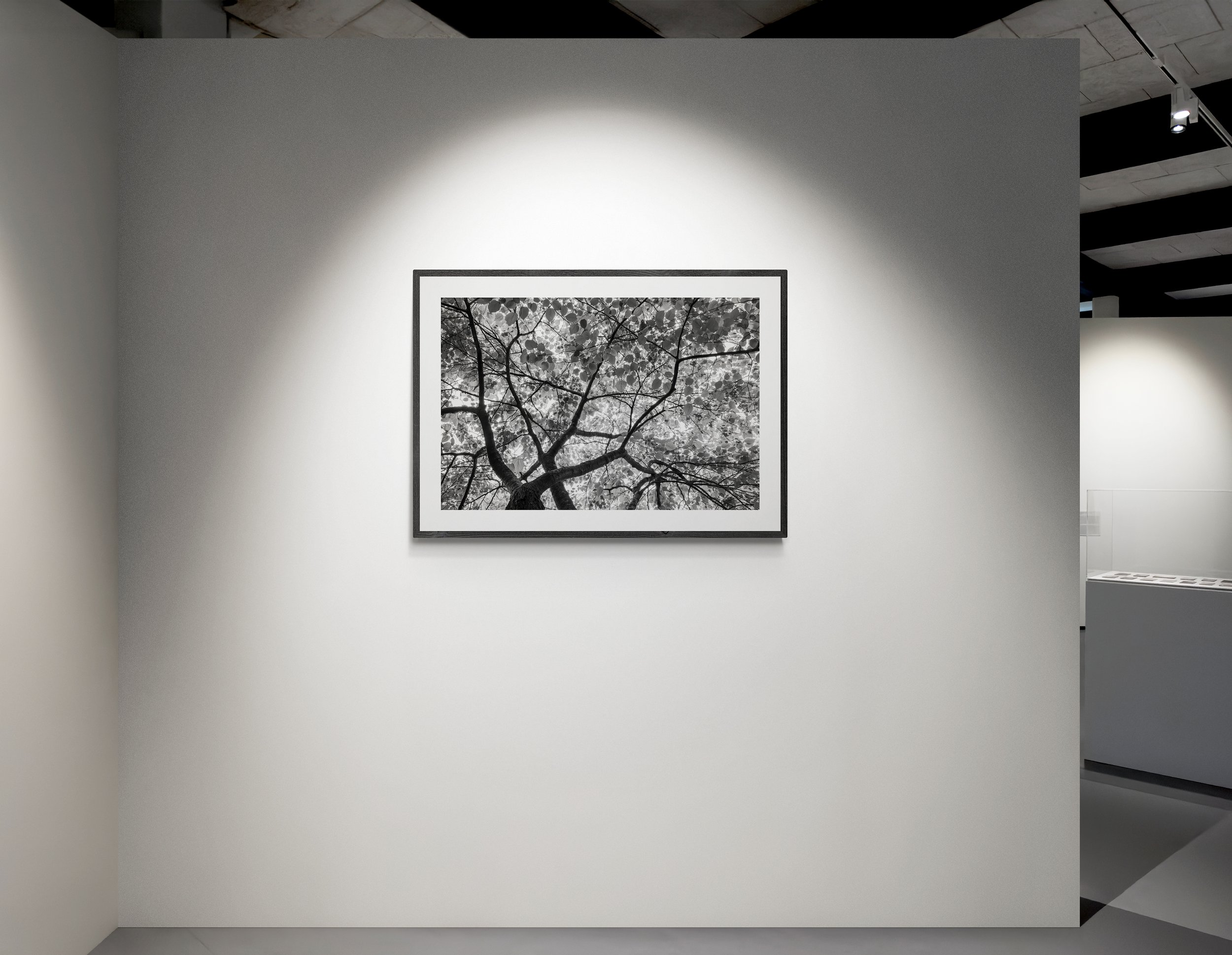 window_frames_bw_2.jpg