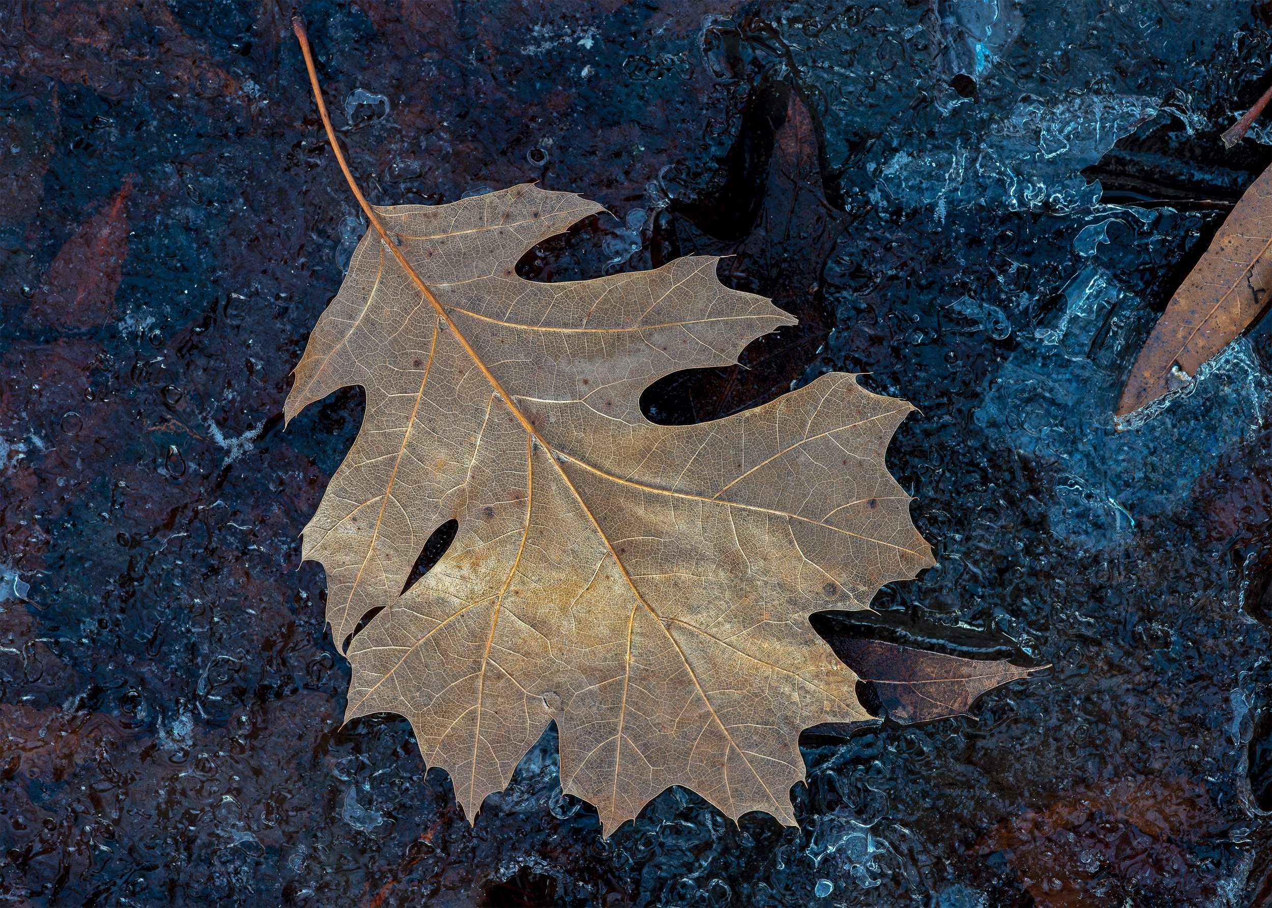 Between Seasons