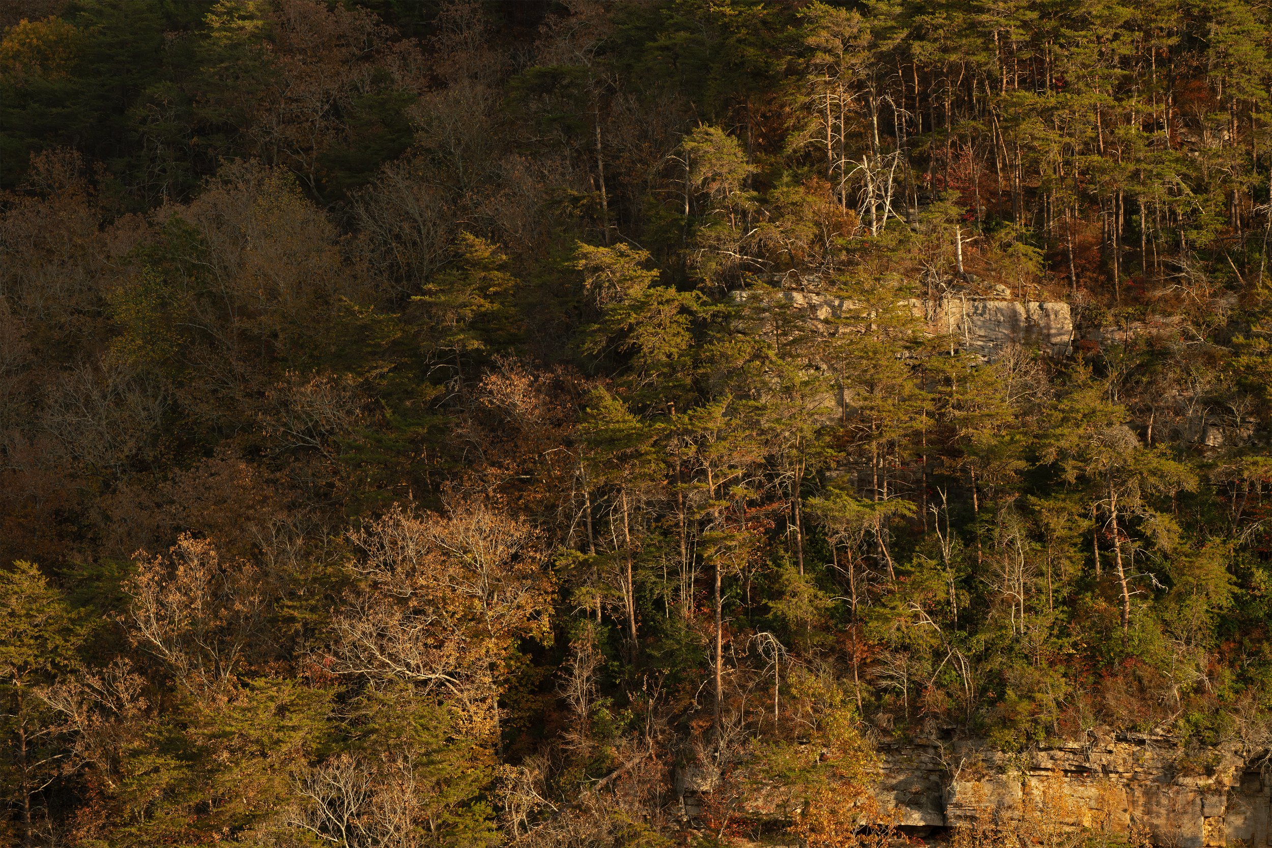 Lookout Ridge