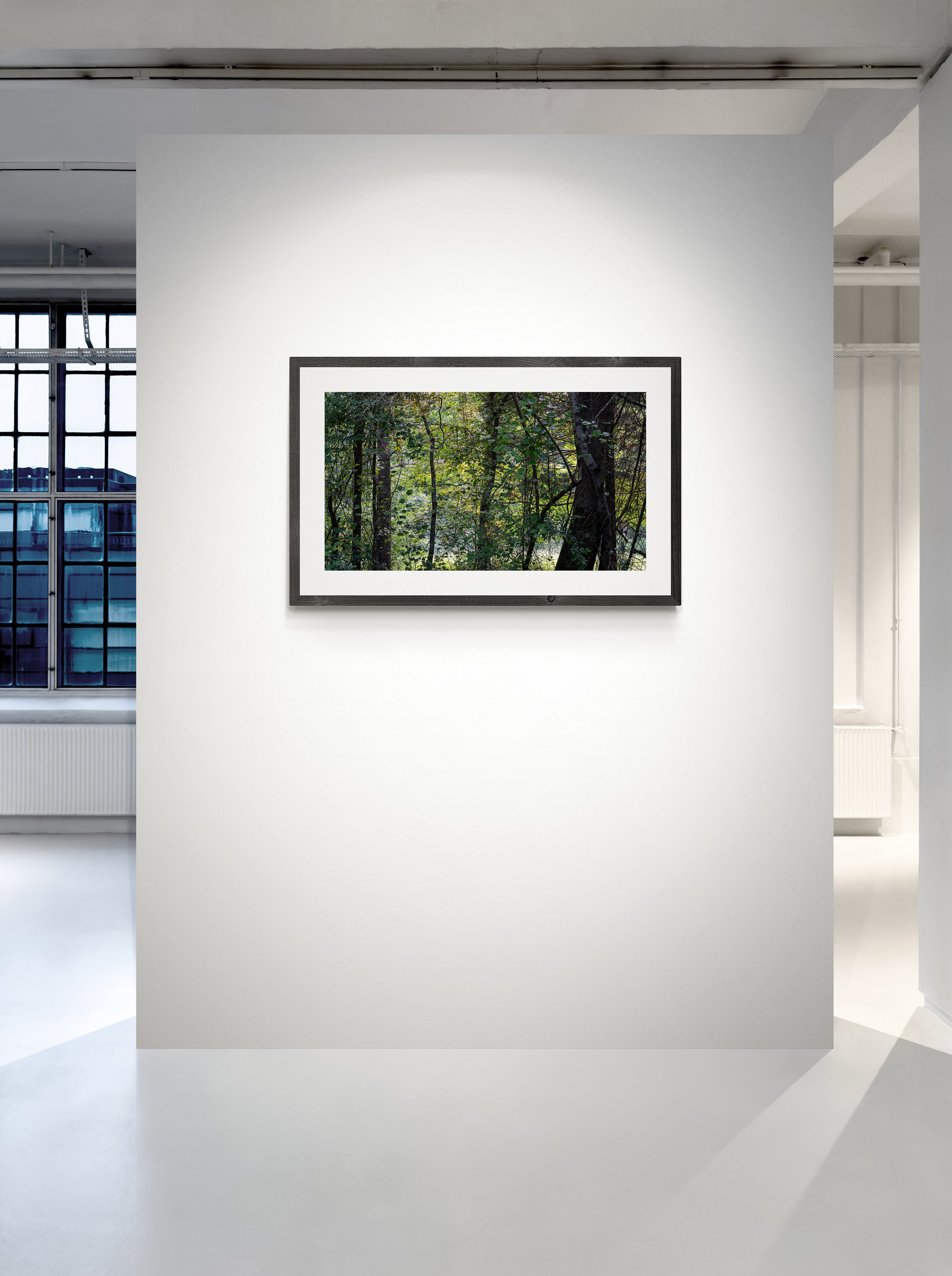 forest_veil_2.jpg