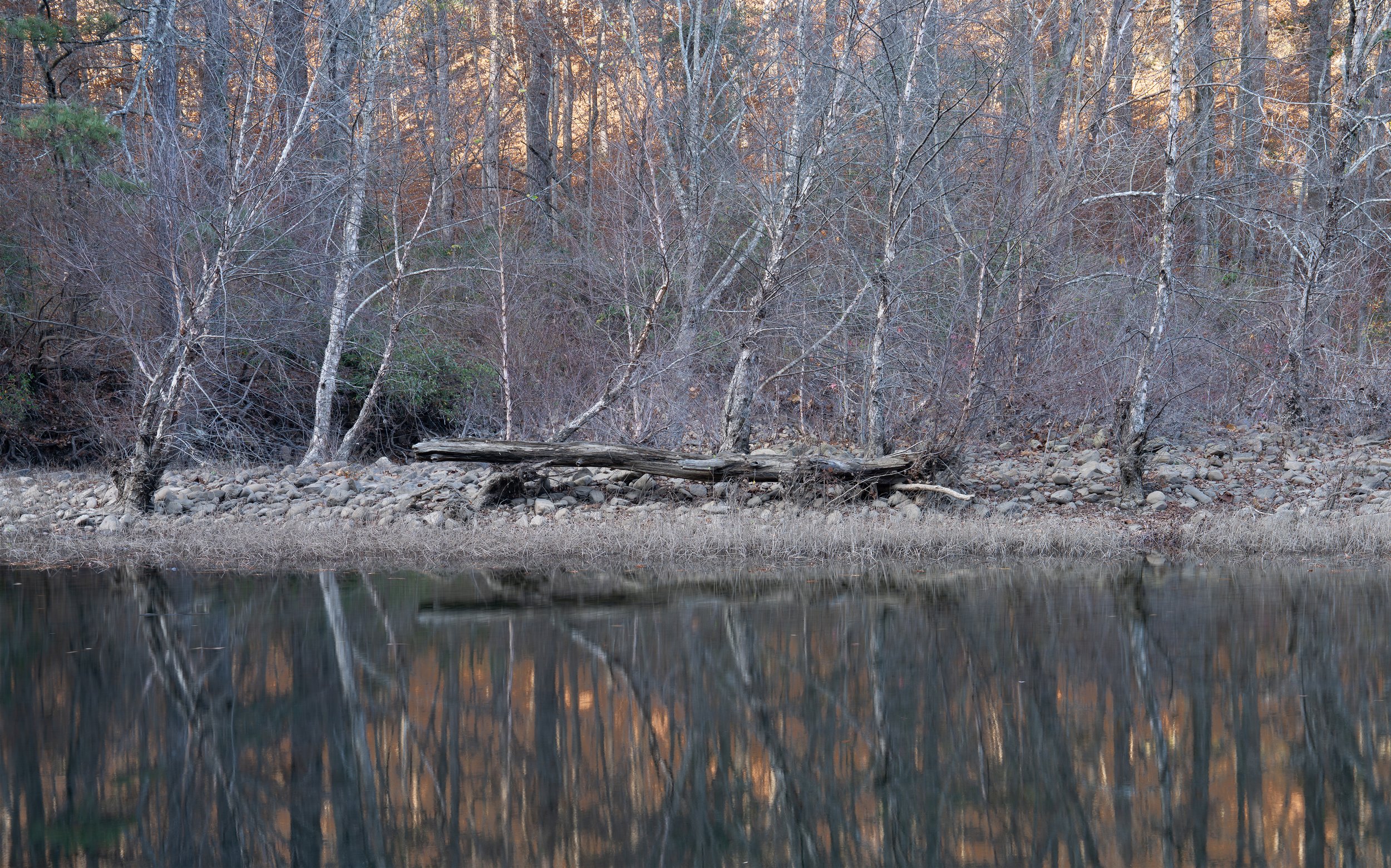 One of Us (variation)