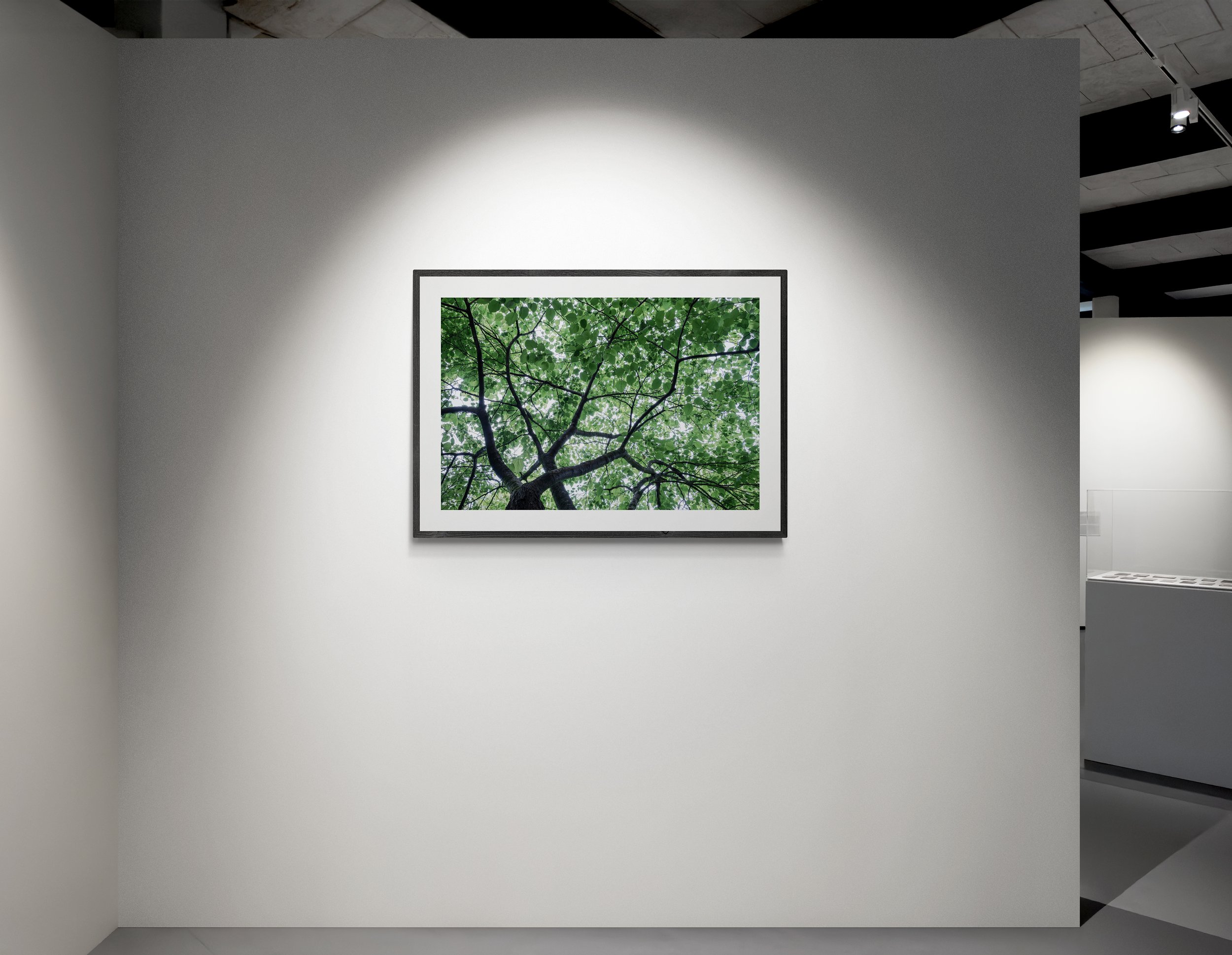window_frames_2.jpg