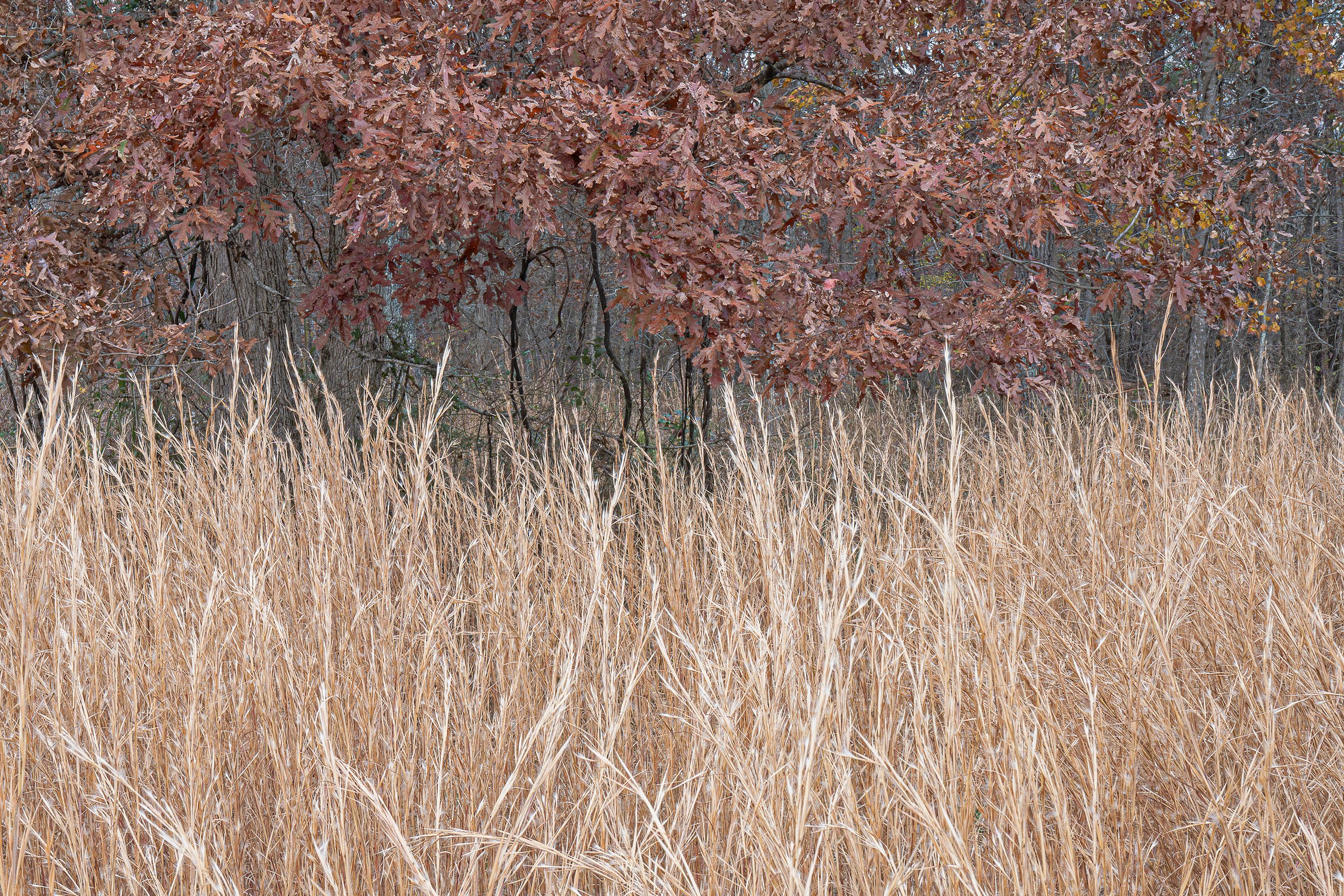 Boundary Line