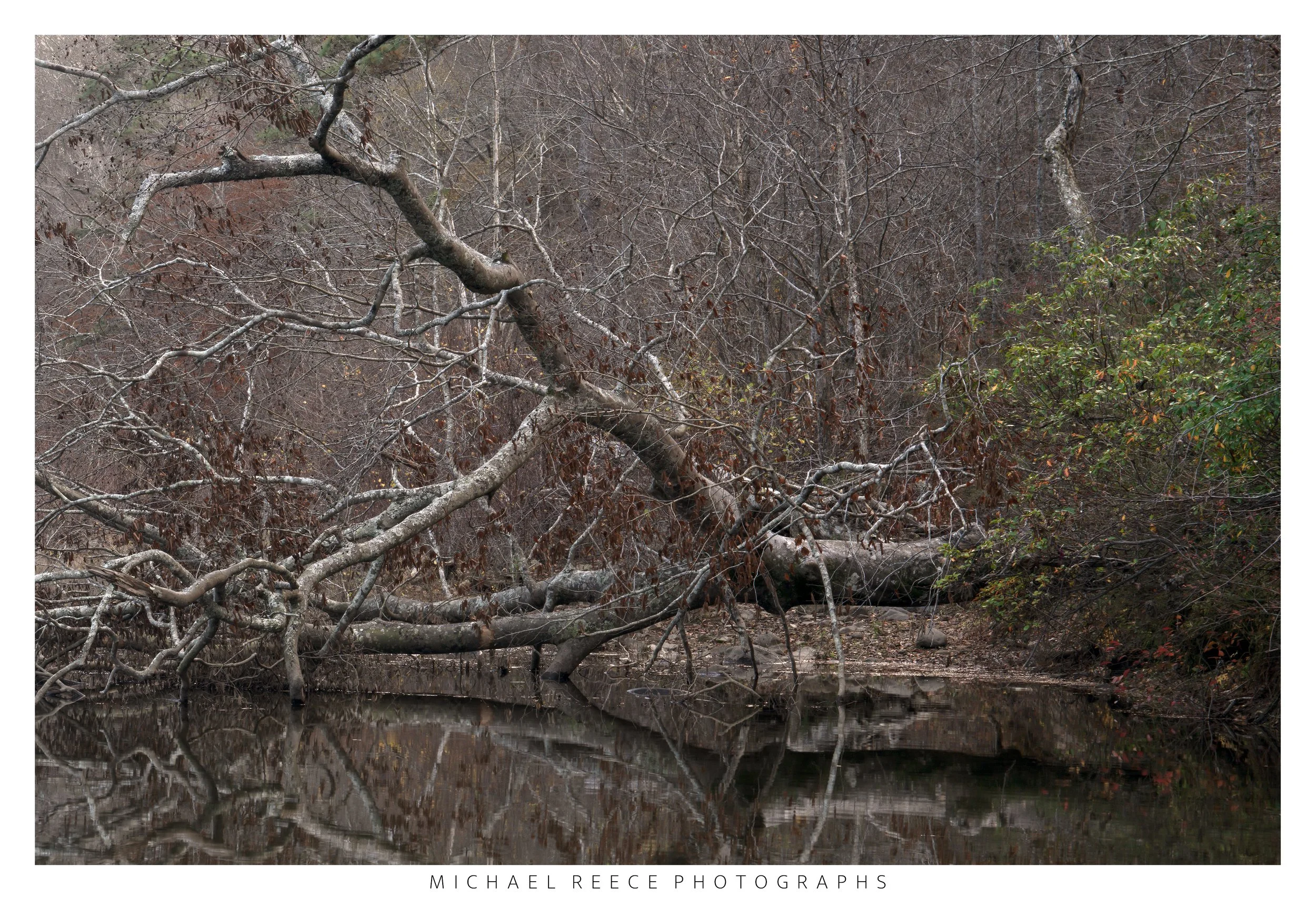 Impermanence
 Buy Print 
