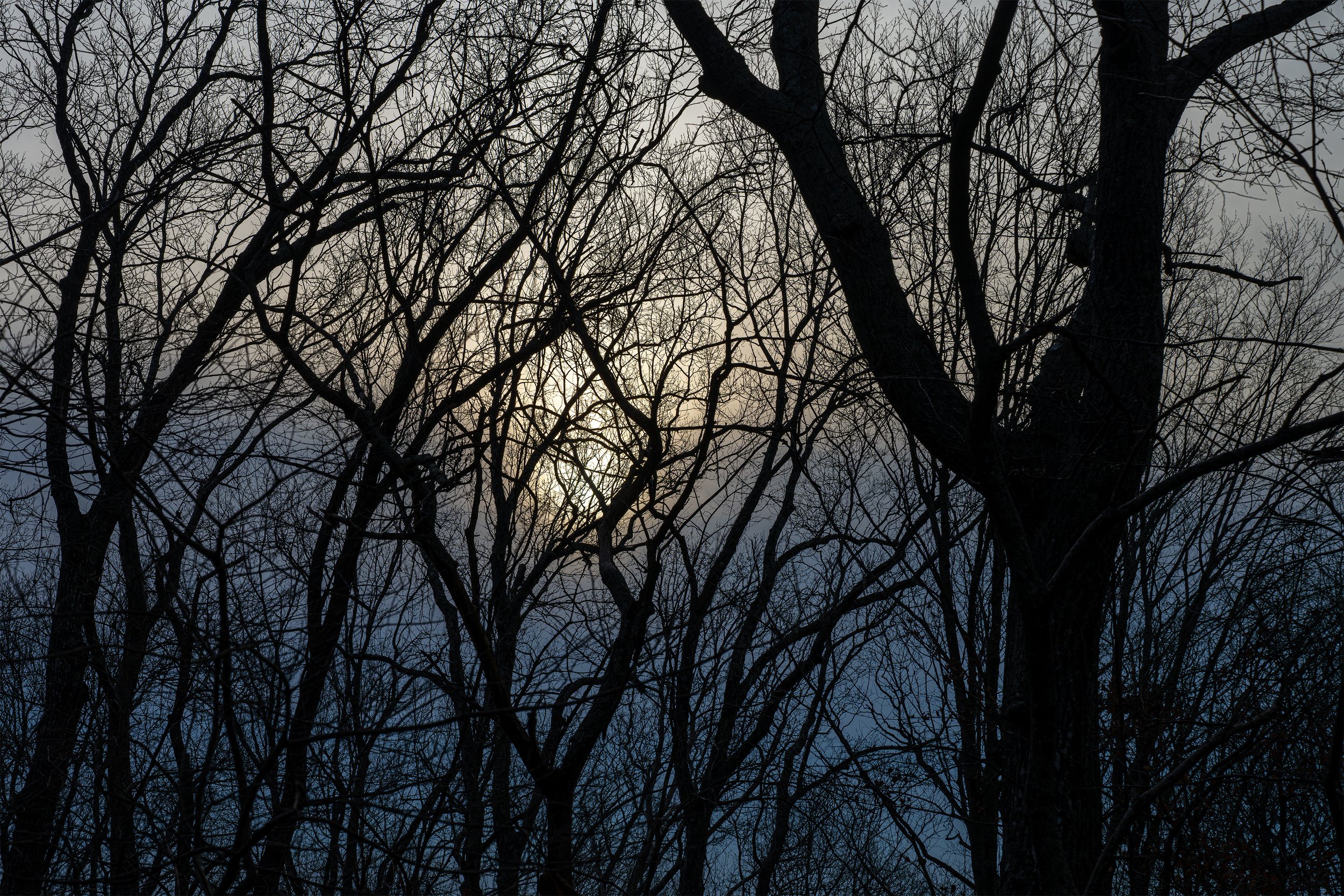 Edge of Night