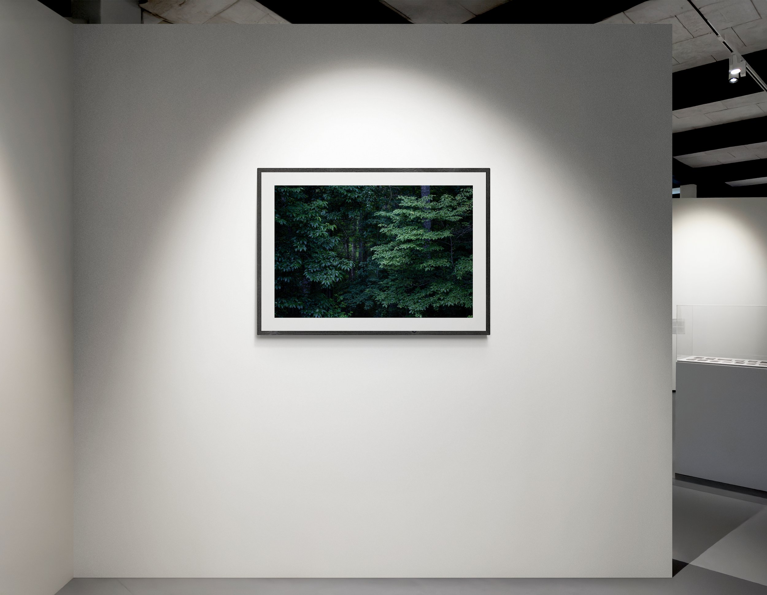 evening_window_2.jpg