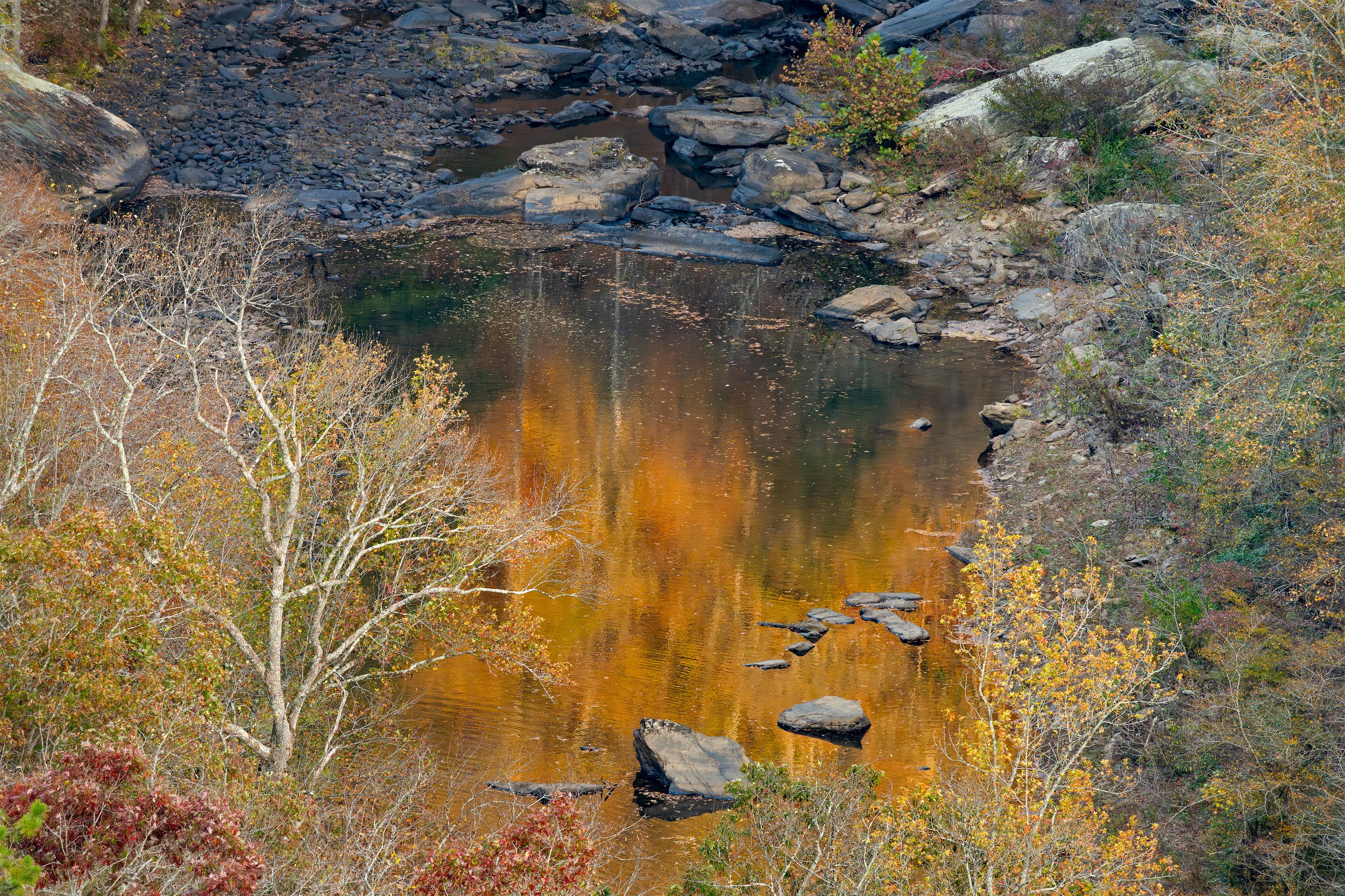The Golden Pool