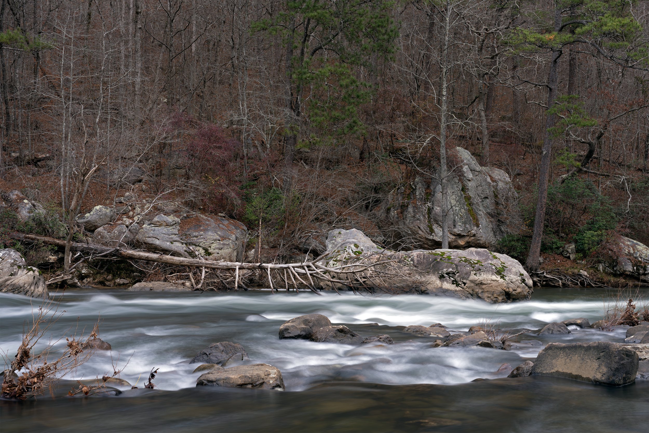 River Through Time