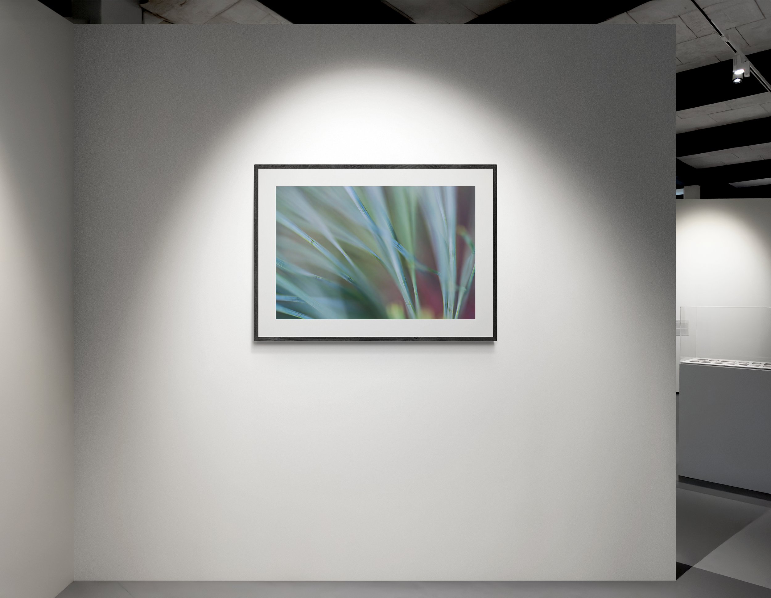 pine_whisper_2.jpg