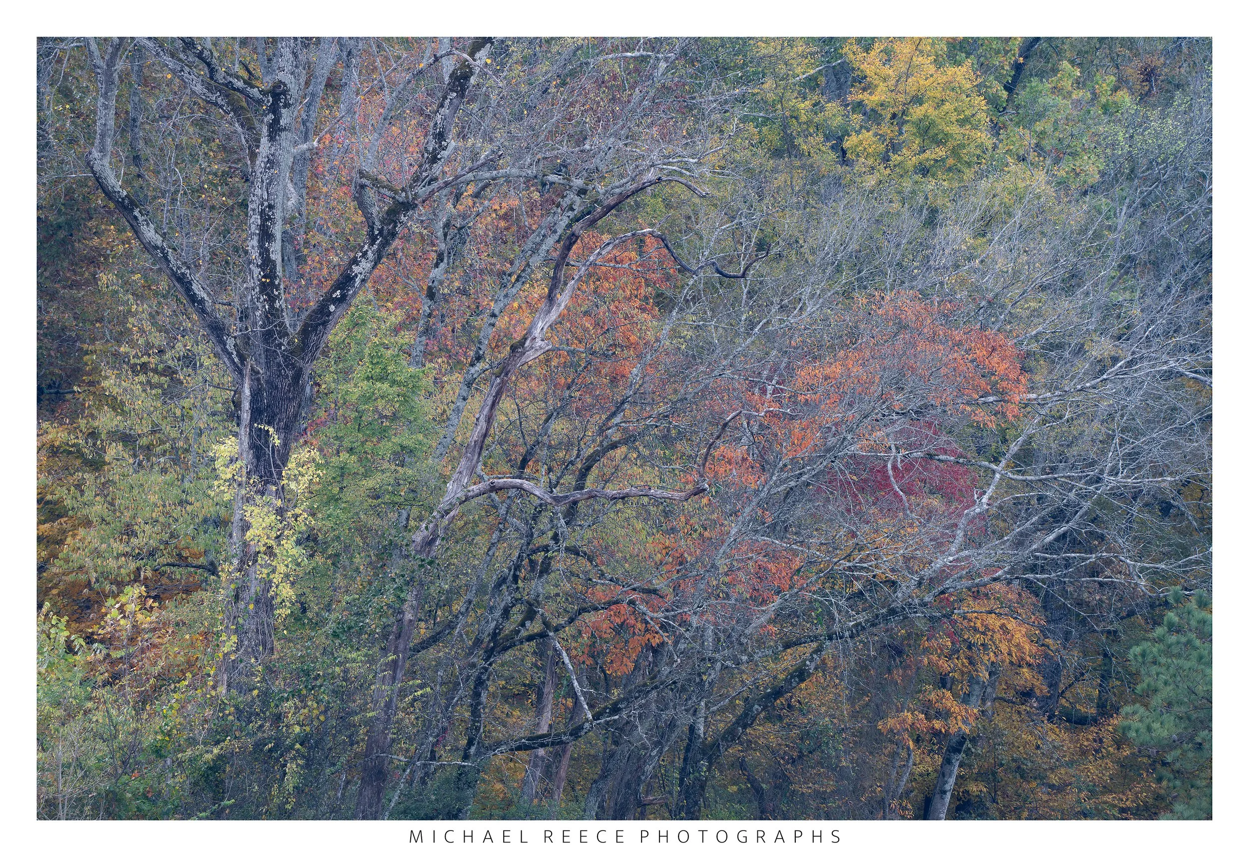 On the Other Side
 Buy Print 