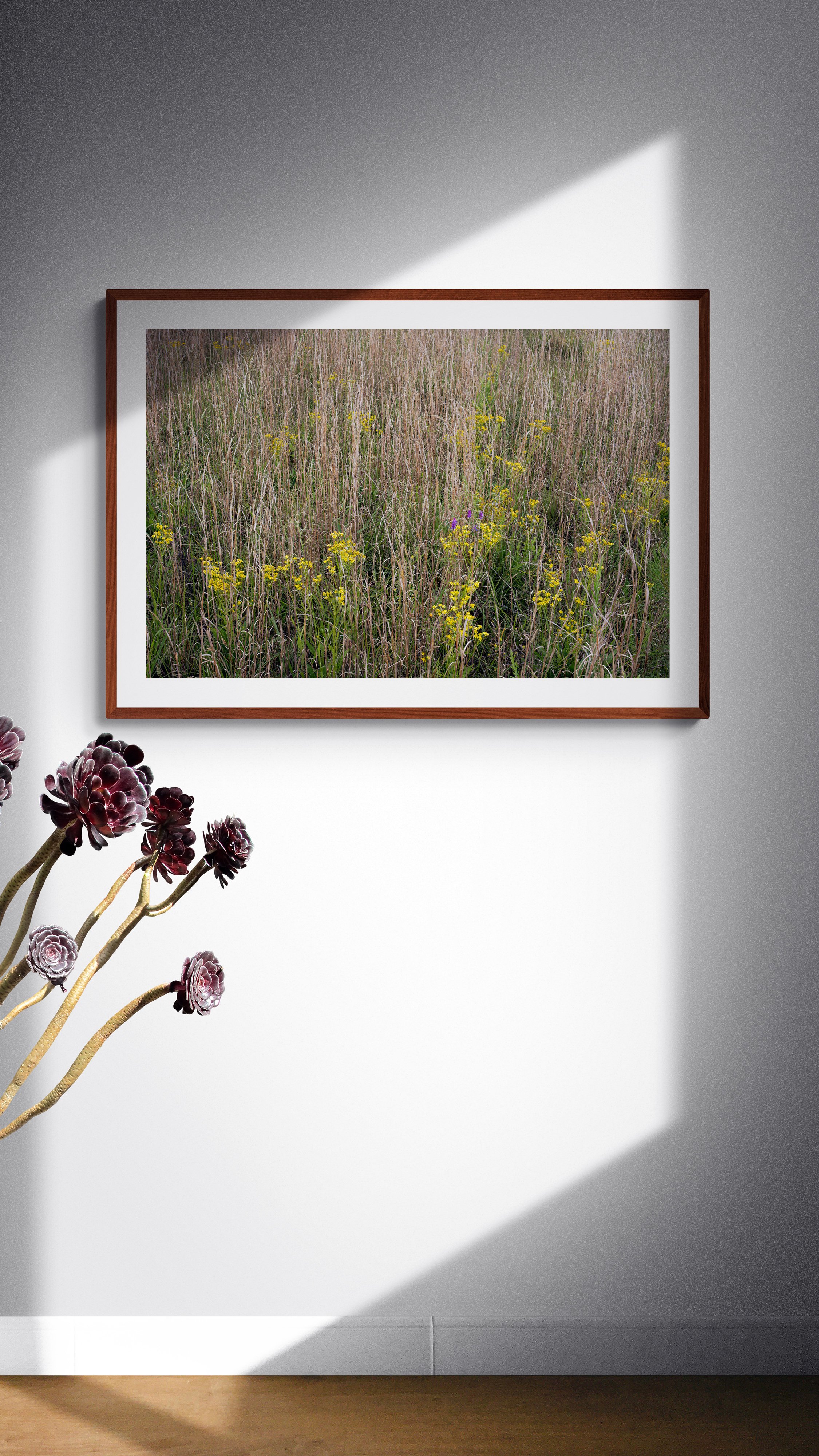 spring_sage_1.jpg