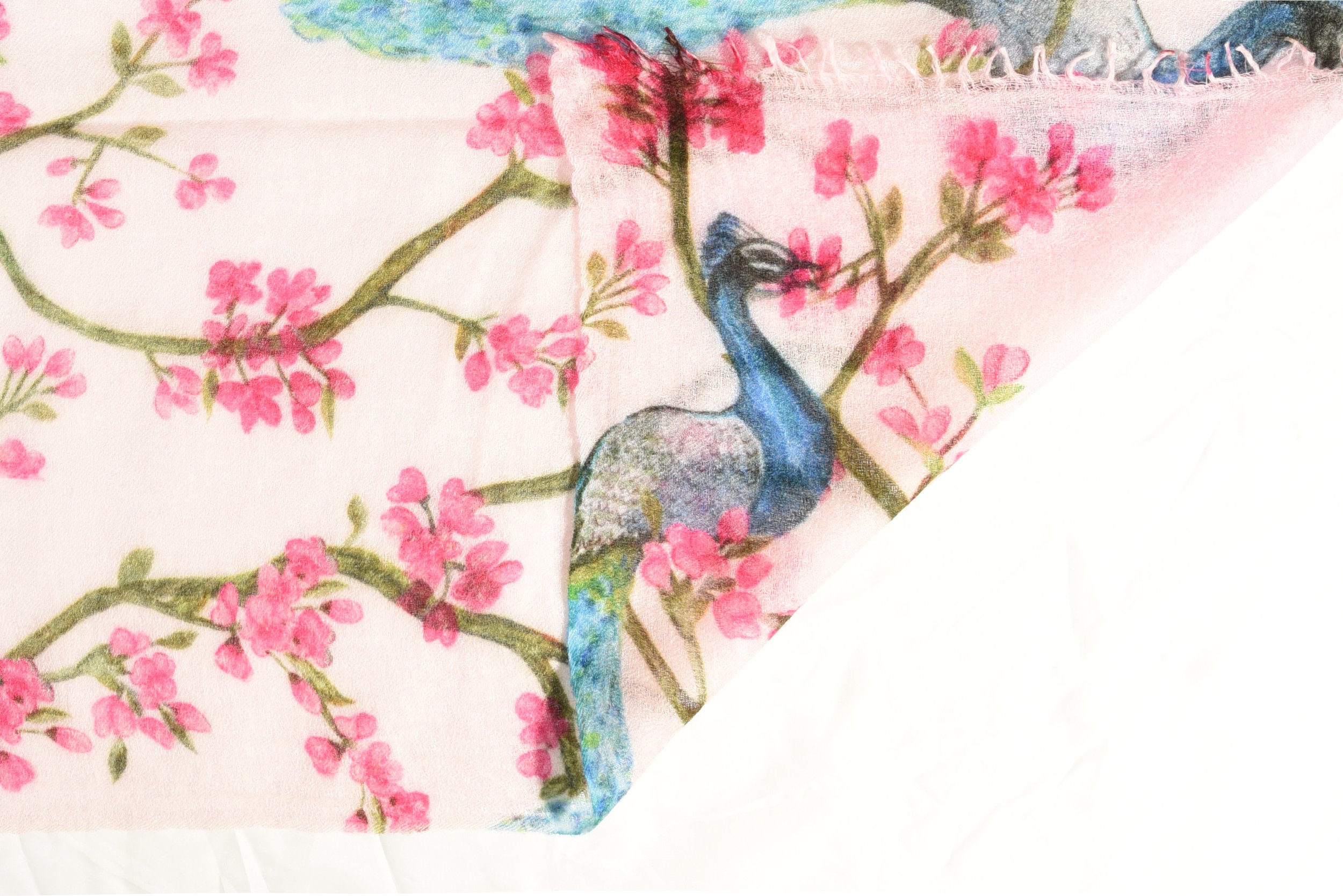 Pashmina220410-4.jpg