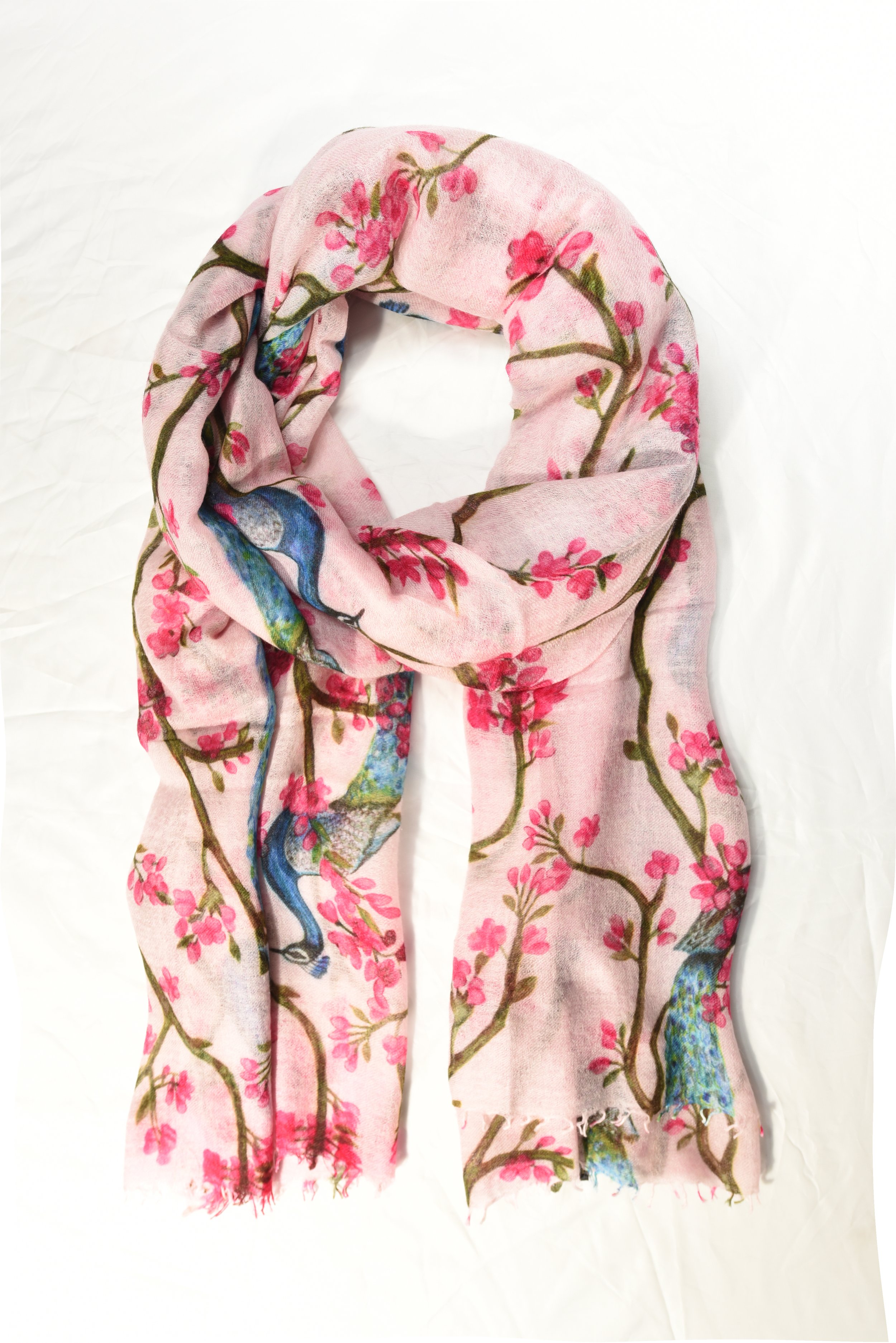 Pashmina220410-2.jpg