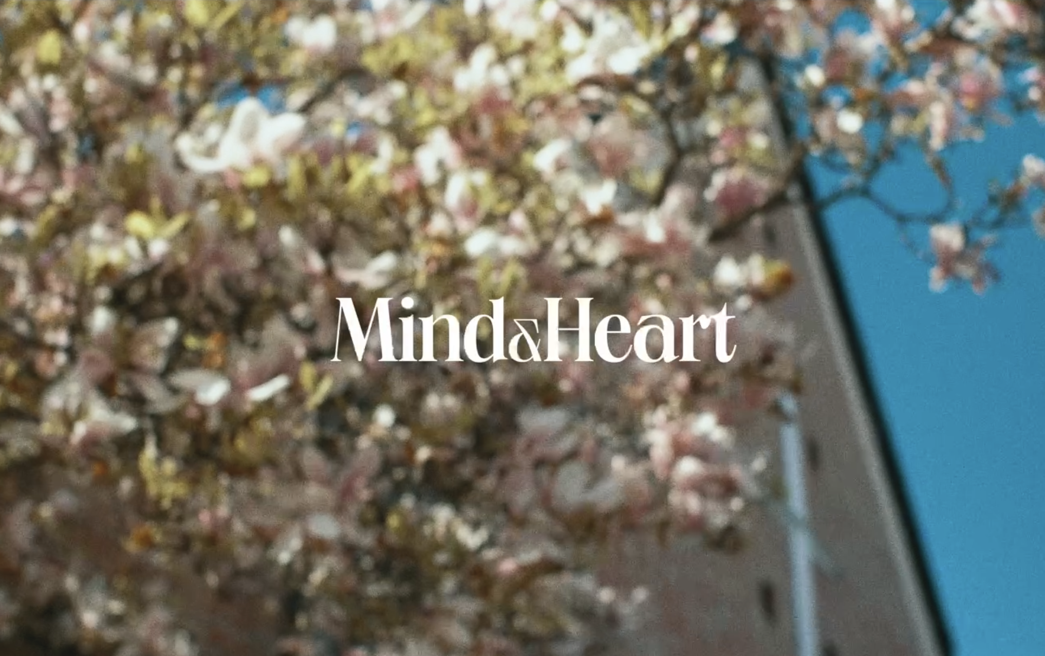 Screenshot 2025-11-23 at 8.53.11 AM.png