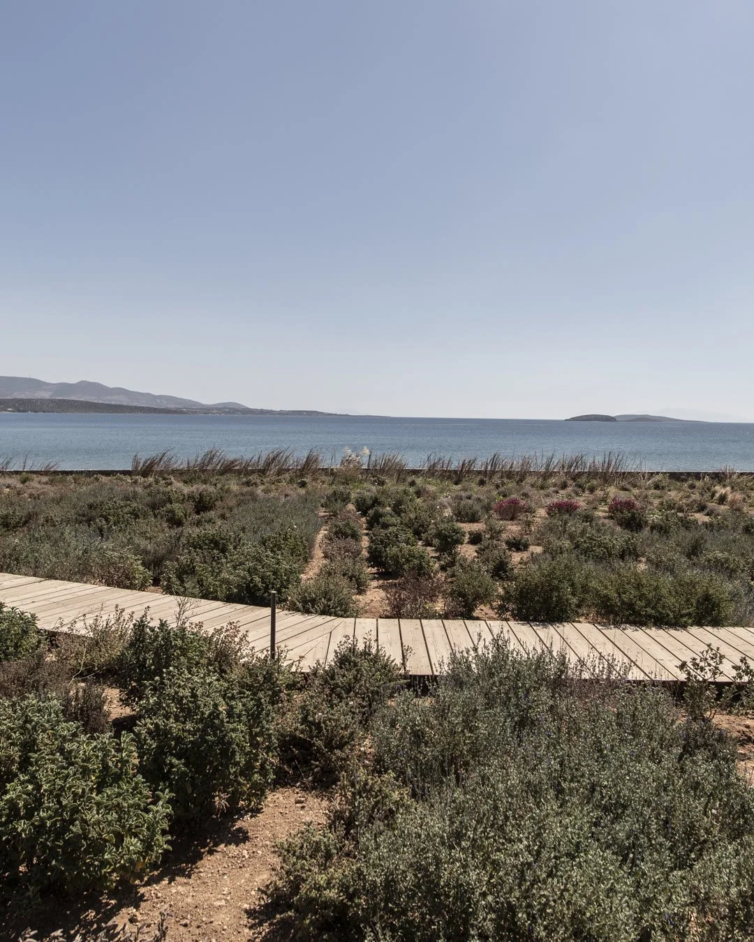 Antiparos is twenty minutes by boat &mdash; fewer, if the captain likes the wind. Day charters, hidden coves, and lunch on the right side of the strait.
Quietly arranged &rarr; keyholderparos.com
#Keyholderparos #paros #concierge #villarentals #greec