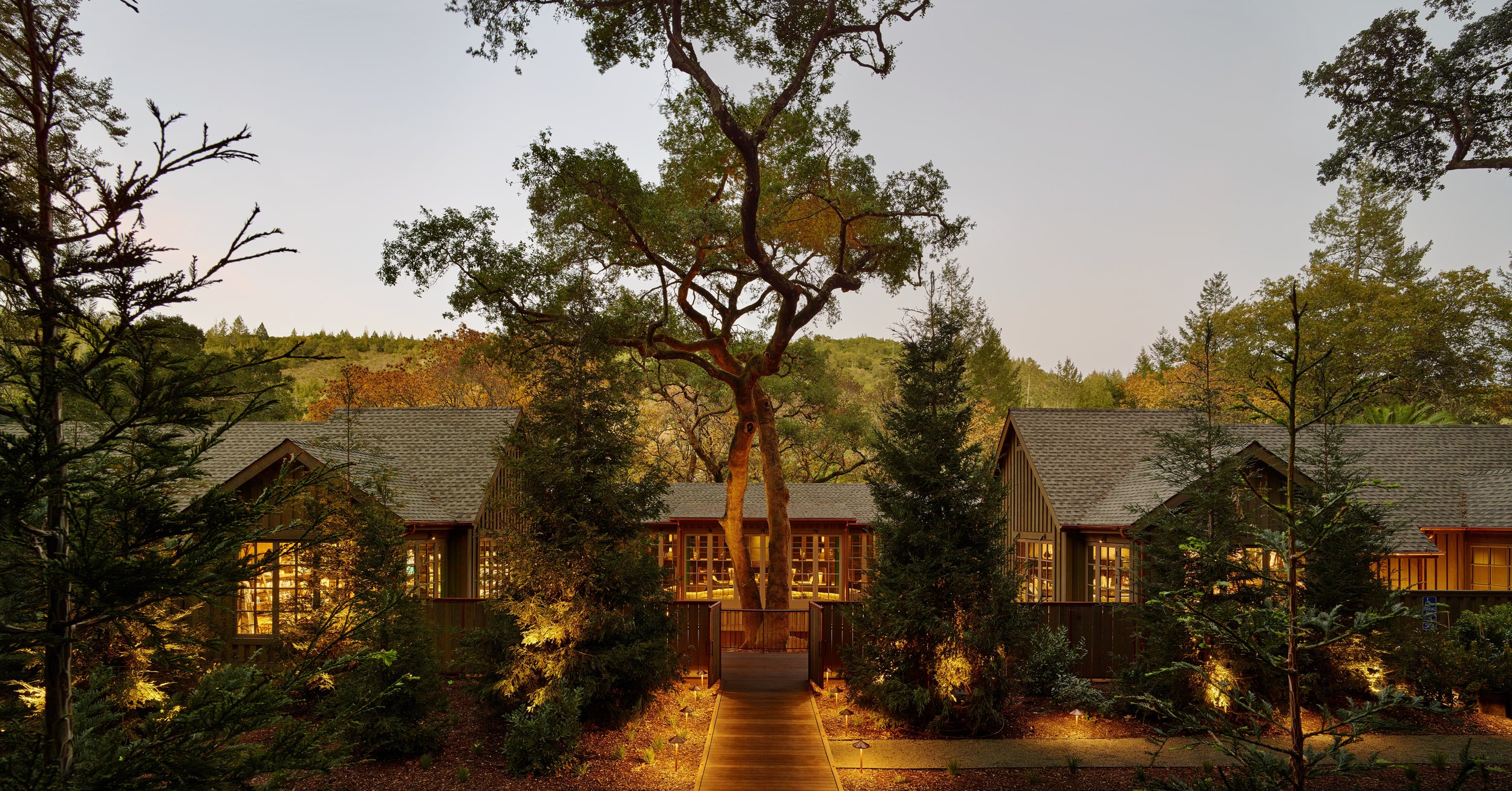 View of houses with large windows, surrounded by trees and illuminated by outdoor lighting at dusk.