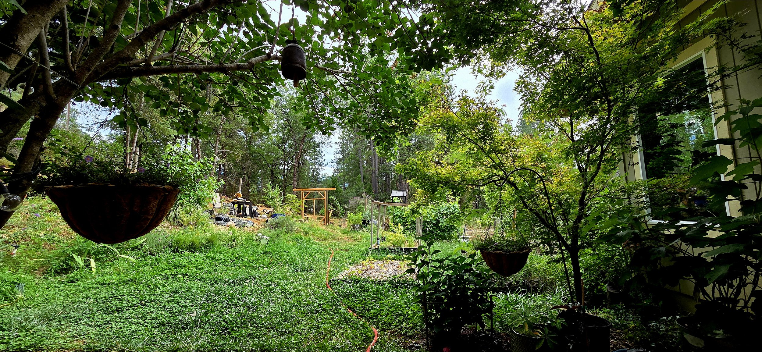 pollinator Garden