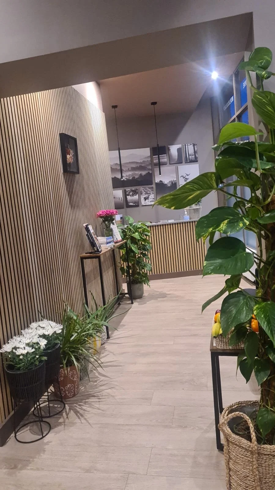 WhatsApp Image 2026-01-28 at 16.13.54.jpeg