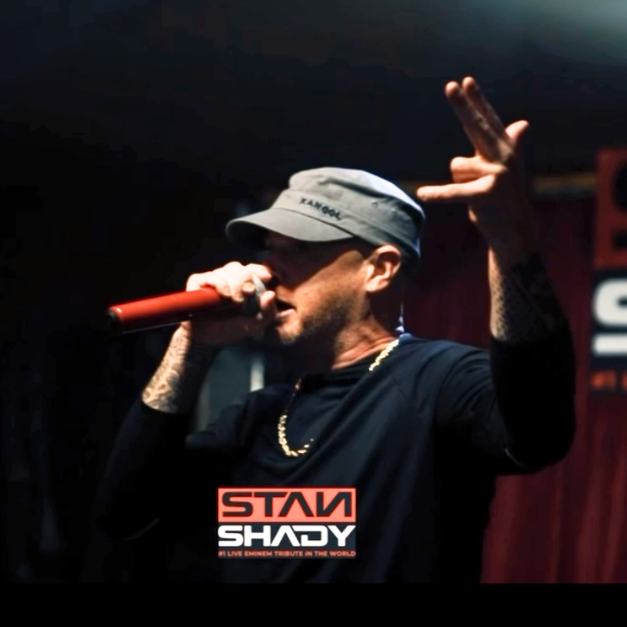 Eminem Tribute Stan Shady