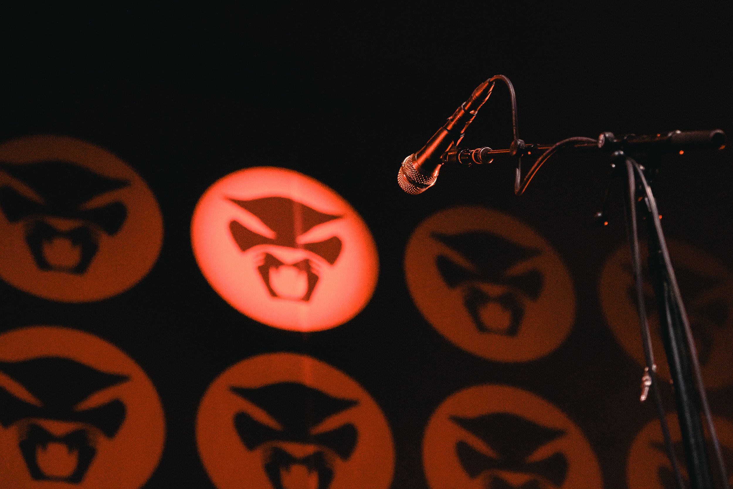 Thundercat - ph Federico Ciamberlini-1.jpg
