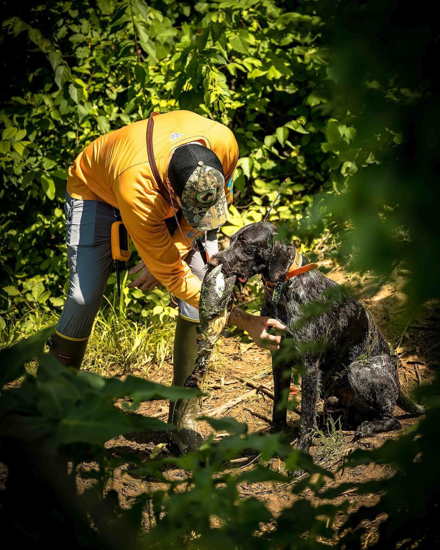 Who is ready for warm weather and duck searches? ___________________________________________
#potomacnavhda #navhda #navhdainternational #whatsyournavhda #navhdatraining #navhdadog #versatiledog #versatilehuntingdog #uplanddog #birddog #pointingdogs 