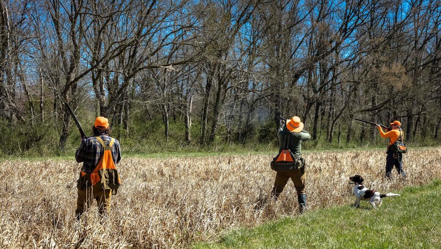 We had a some good March training days so far. UT tests are right around the corner. ___________________________________________
#potomacnavhda #navhda #navhdainternational #whatsyournavhda #navhdatraining #navhdadog #versatiledog #versatilehuntingdo