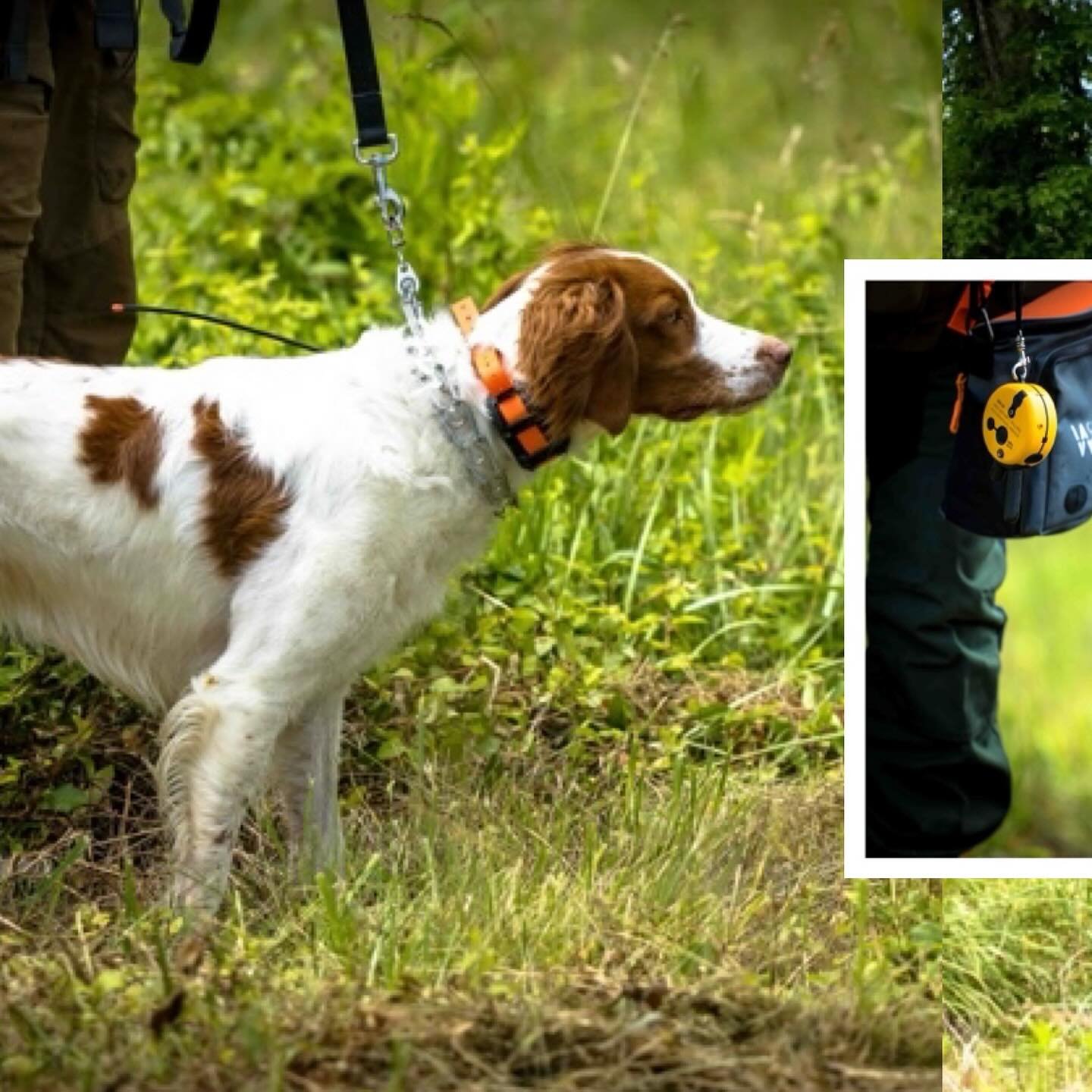 Thanks to everyone that came out for our June training day. And thank you to all of our volunteers that made it possible. Whether it&rsquo;s making the bird run, planting birds, helping gun in the field, providing instruction, or simply helping get s