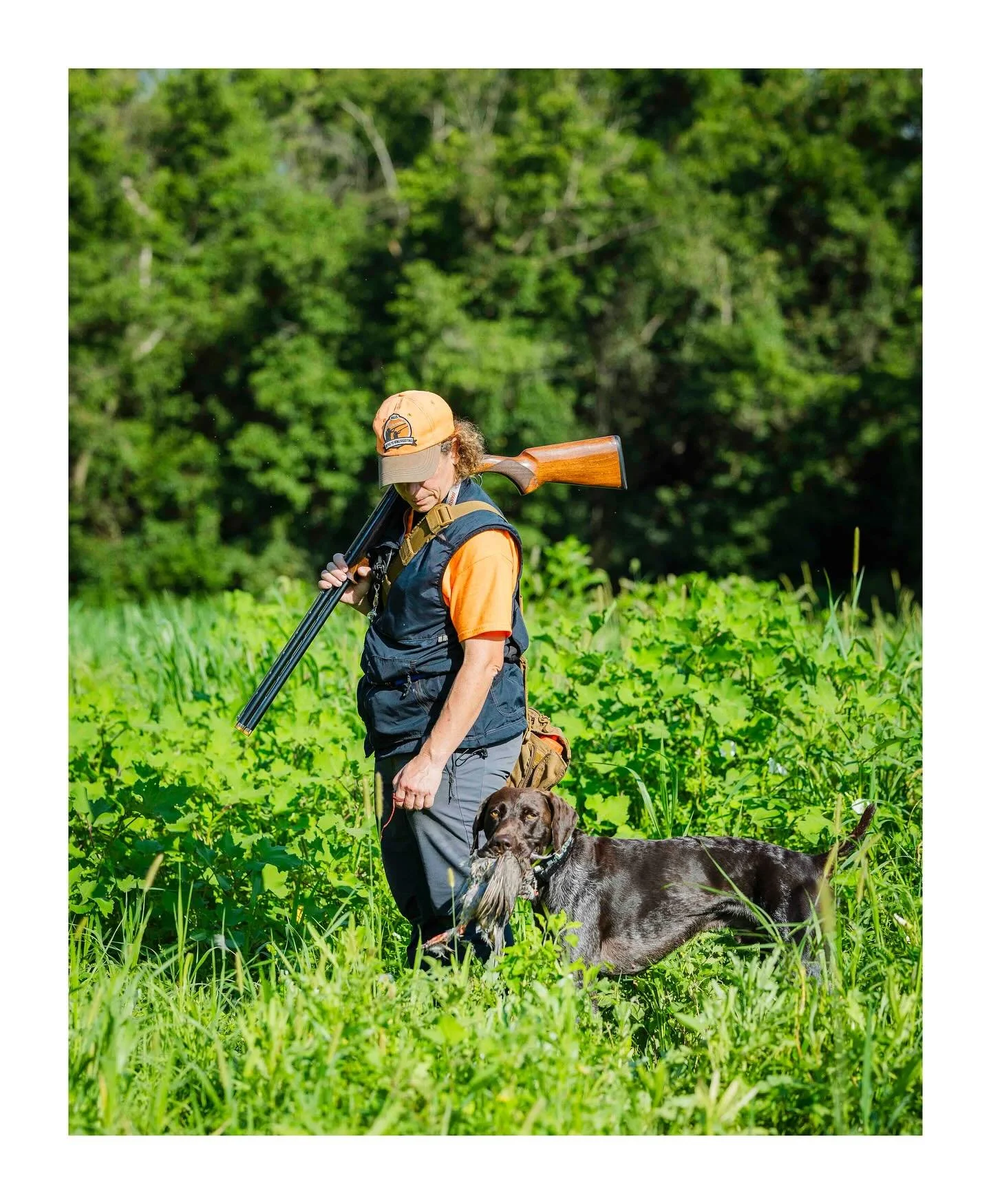 Good luck to Melissa and Friedelsheim&rsquo;s Boozie Tim in today&rsquo;s Invitational run. _______________________________
#potomacnavhda #navhdainternational #versatiledog