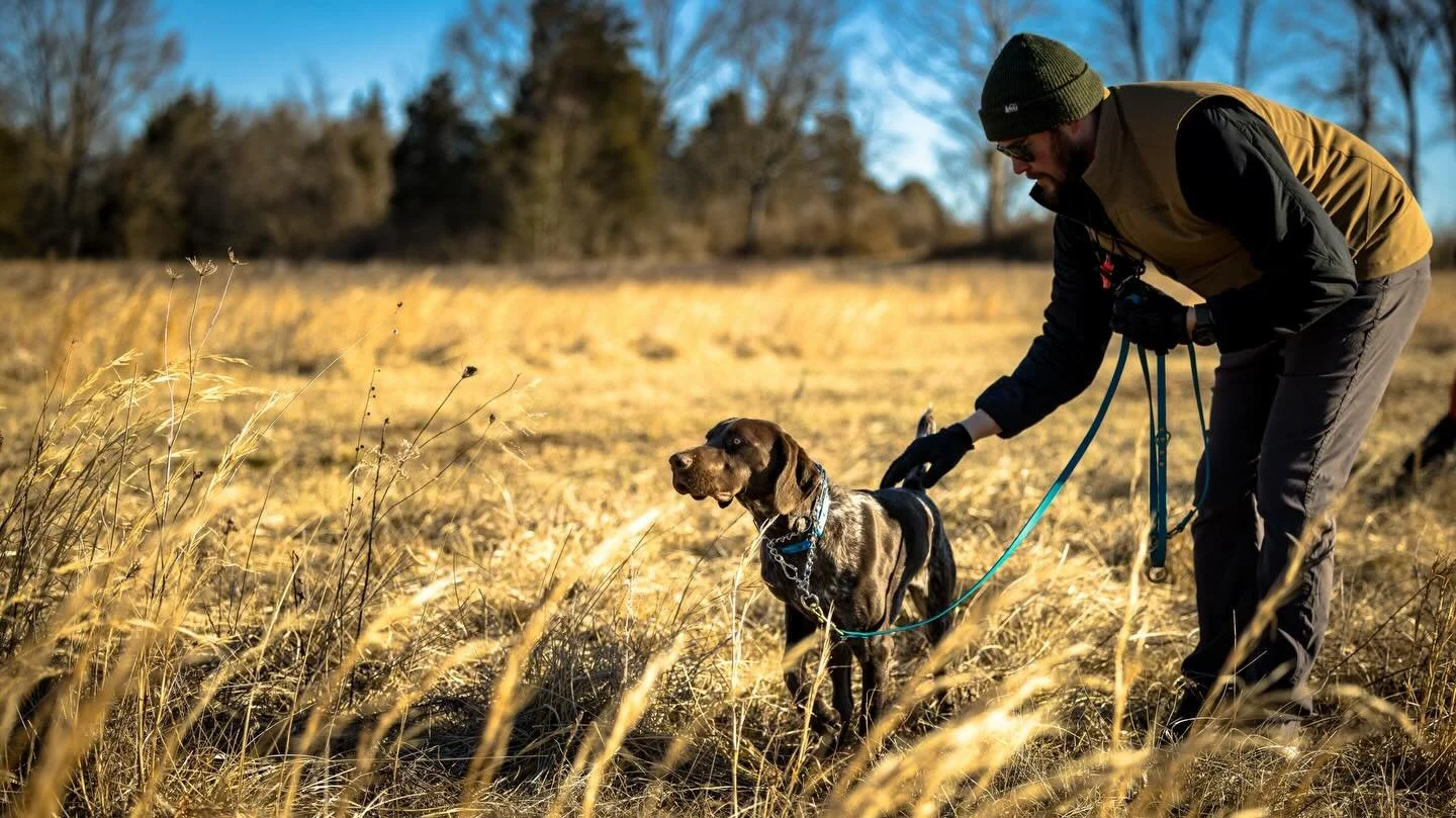 More of this is right around the corner. _______________________________
#potomacnavhda #navhdainternational #versatiledog