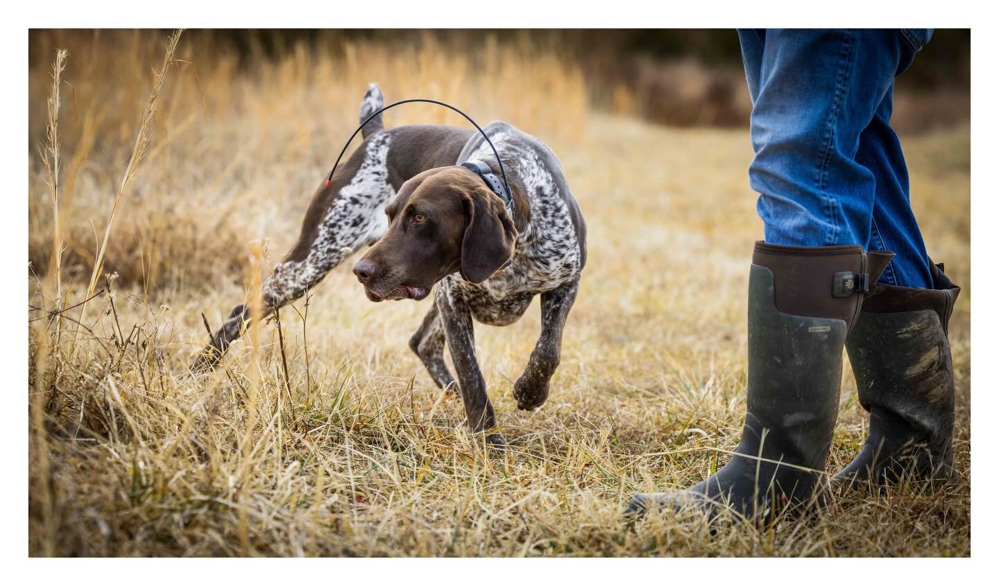 Built during the week. Polished on the weekend. Reps don&rsquo;t stop. _______________________________
#potomacnavhda #navhdainternational #weekendgrind #moderngentlemen 📸 @eraynesphoto